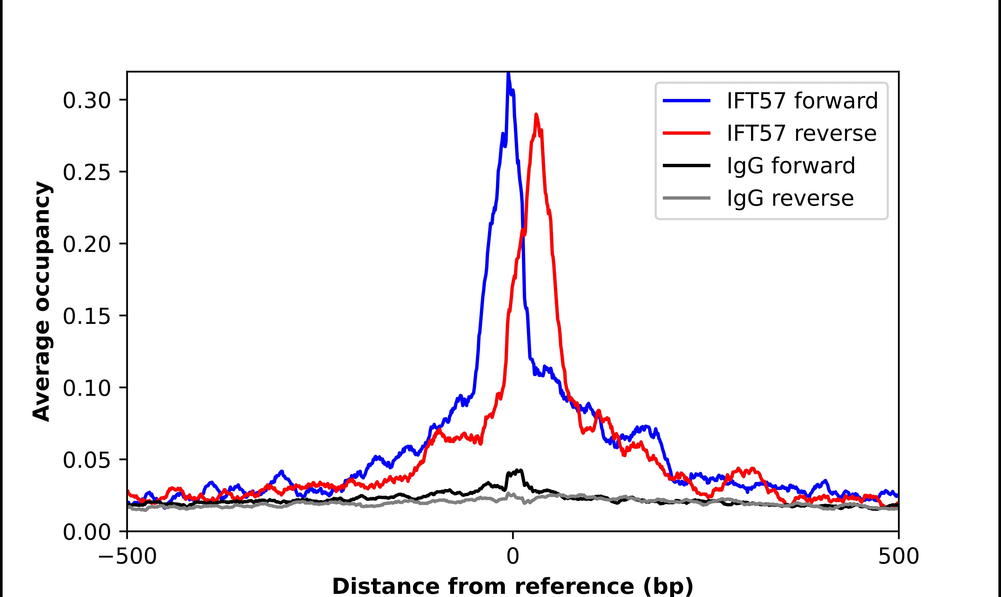 ChIP-Exo-Seq composite graph for Anti-HIPPI tested in K562 cells. Strand-specific reads (blue: forward, red: reverse) and IgG controls (black: forward, grey: reverse) are plotted against the distance from a composite set of reference binding sites. The antibody exhibits robust target enrichment compared to a non-specific IgG control and precisely reveals its structural organization around the binding site. Data generated by Prof. B. F. Pugh's Lab at Cornell University.