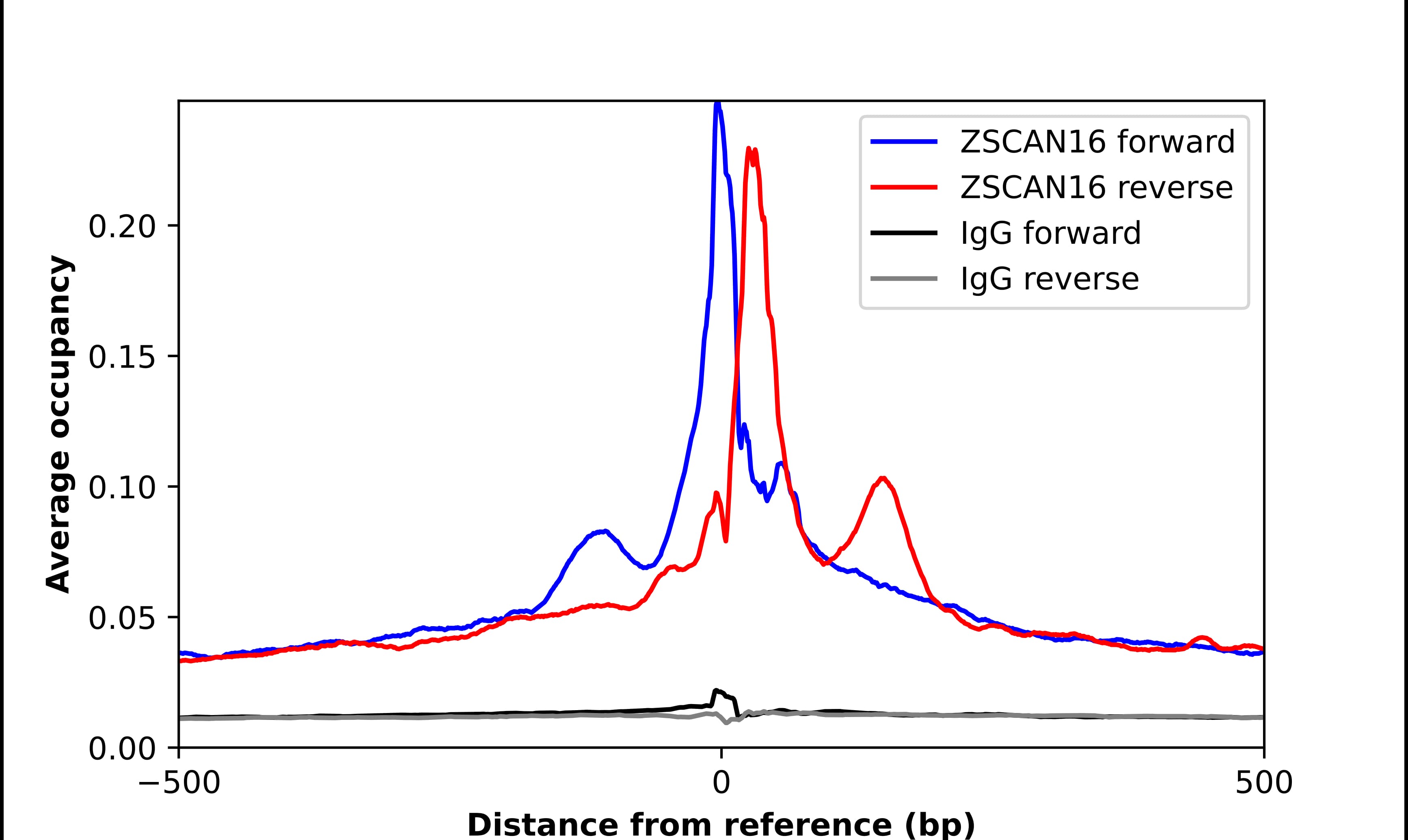 Chromatin Immunoprecipitation ZSCAN16 Antibody - BSA Free