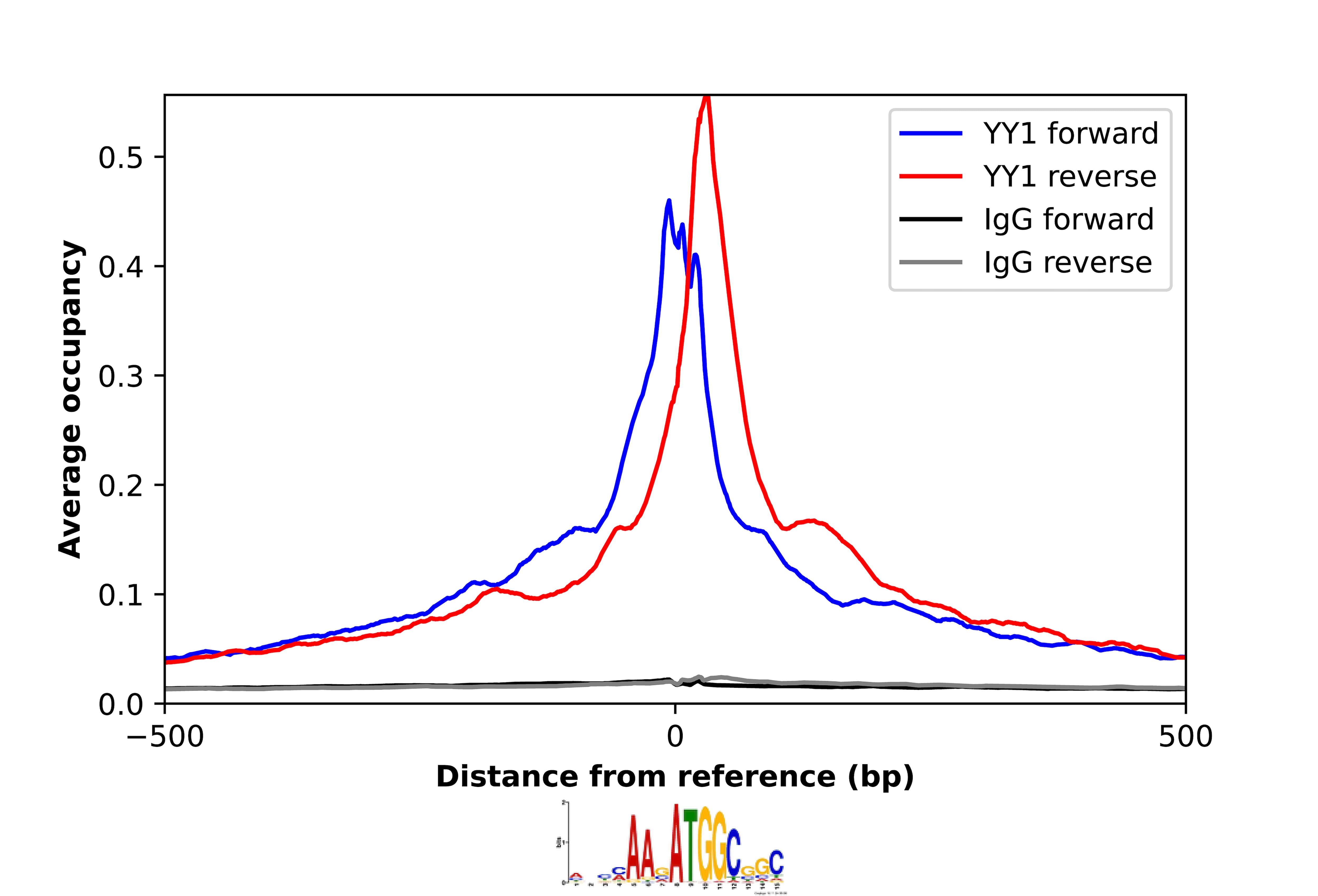 ChIP-Exo-Seq composite graph for Anti-YY1 (NBP1-85260) tested in K562 cells. Strand-specific reads (blue: forward, red: reverse) and IgG controls (black: forward, grey: reverse) are plotted against the distance from a composite set of reference binding sites. The antibody exhibits robust target enrichment compared to a non-specific IgG control and precisely reveals its structural organization around the binding site. Data generated by Prof. B. F. Pugh´s Lab at Cornell University.