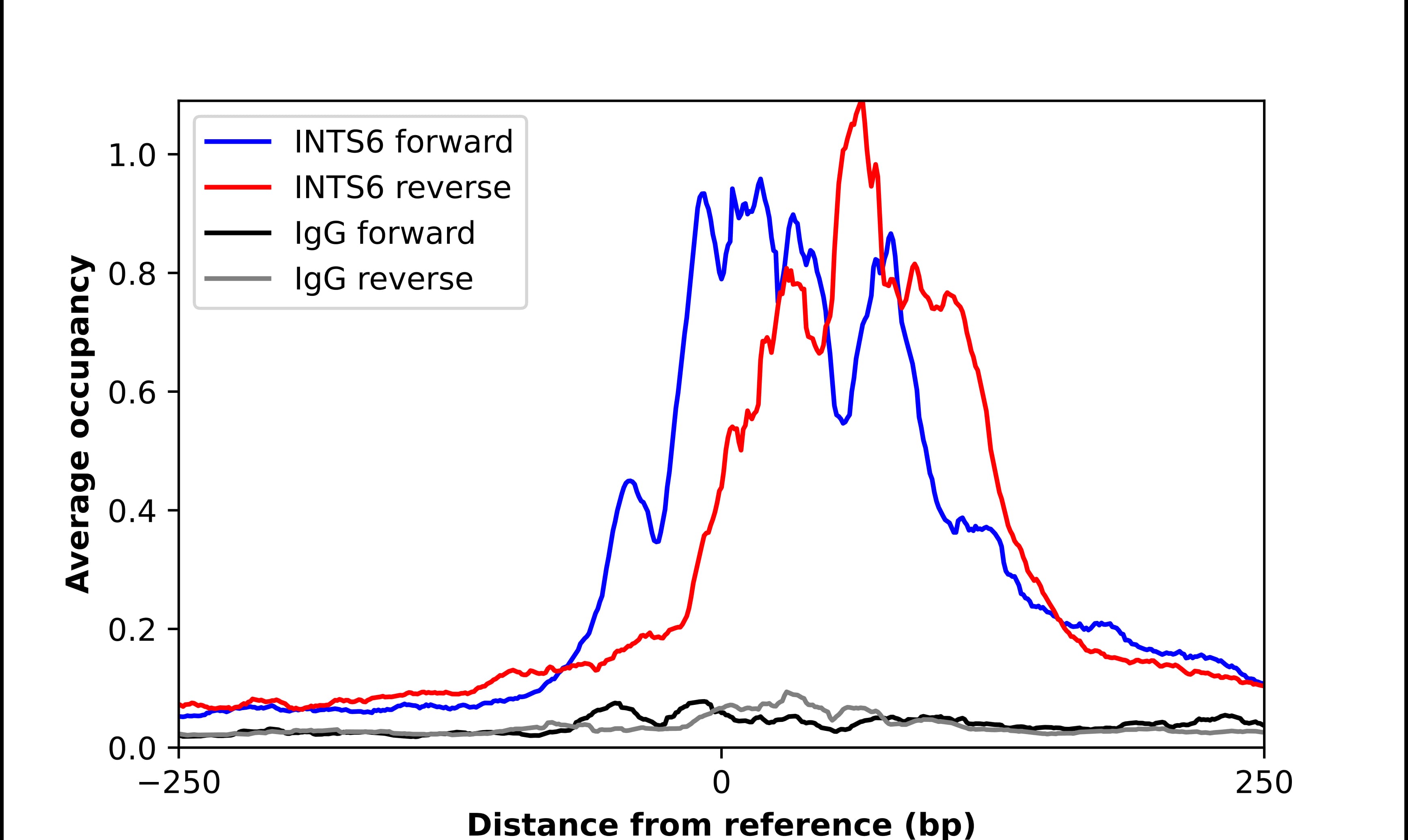 ChIP-Exo-Seq composite graph for Anti-INTS6 tested in K562 cells. Strand-specific reads (blue: forward, red: reverse) and IgG controls (black: forward, grey: reverse) are plotted against the distance from a composite set of reference binding sites. The antibody exhibits robust target enrichment compared to a non-specific IgG control and precisely reveals its structural organization around the binding site. Data generated by Prof. B. F. Pugh's Lab at Cornell University.