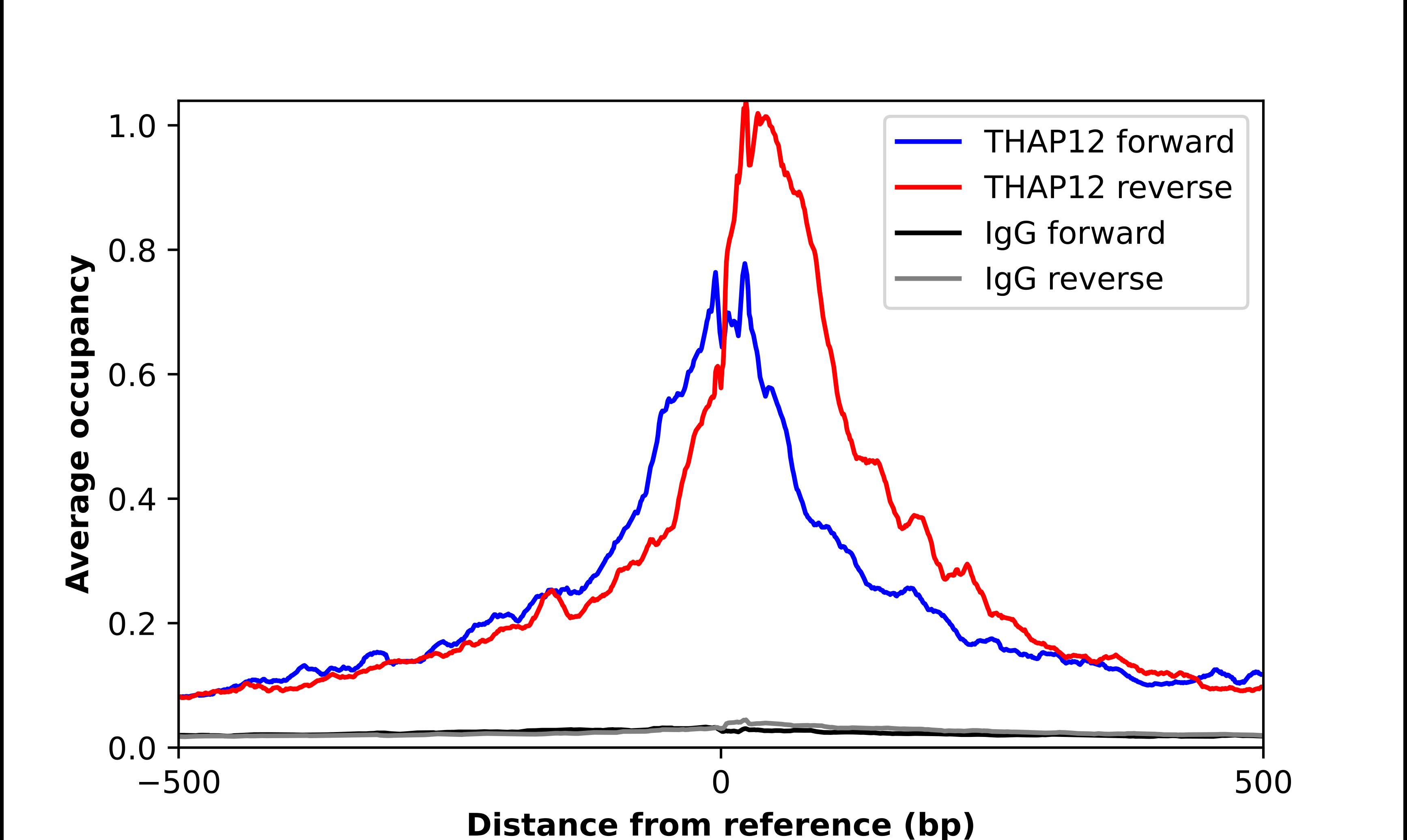 ChIP-Exo-Seq composite graph for Anti-PRKRIR tested in K562 cells. Strand-specific reads (blue: forward, red: reverse) and IgG controls (black: forward, grey: reverse) are plotted against the distance from a composite set of reference binding sites. The antibody exhibits robust target enrichment compared to a non-specific IgG control and precisely reveals its structural organization around the binding site. Data generated by Prof. B. F. Pugh's Lab at Cornell University.