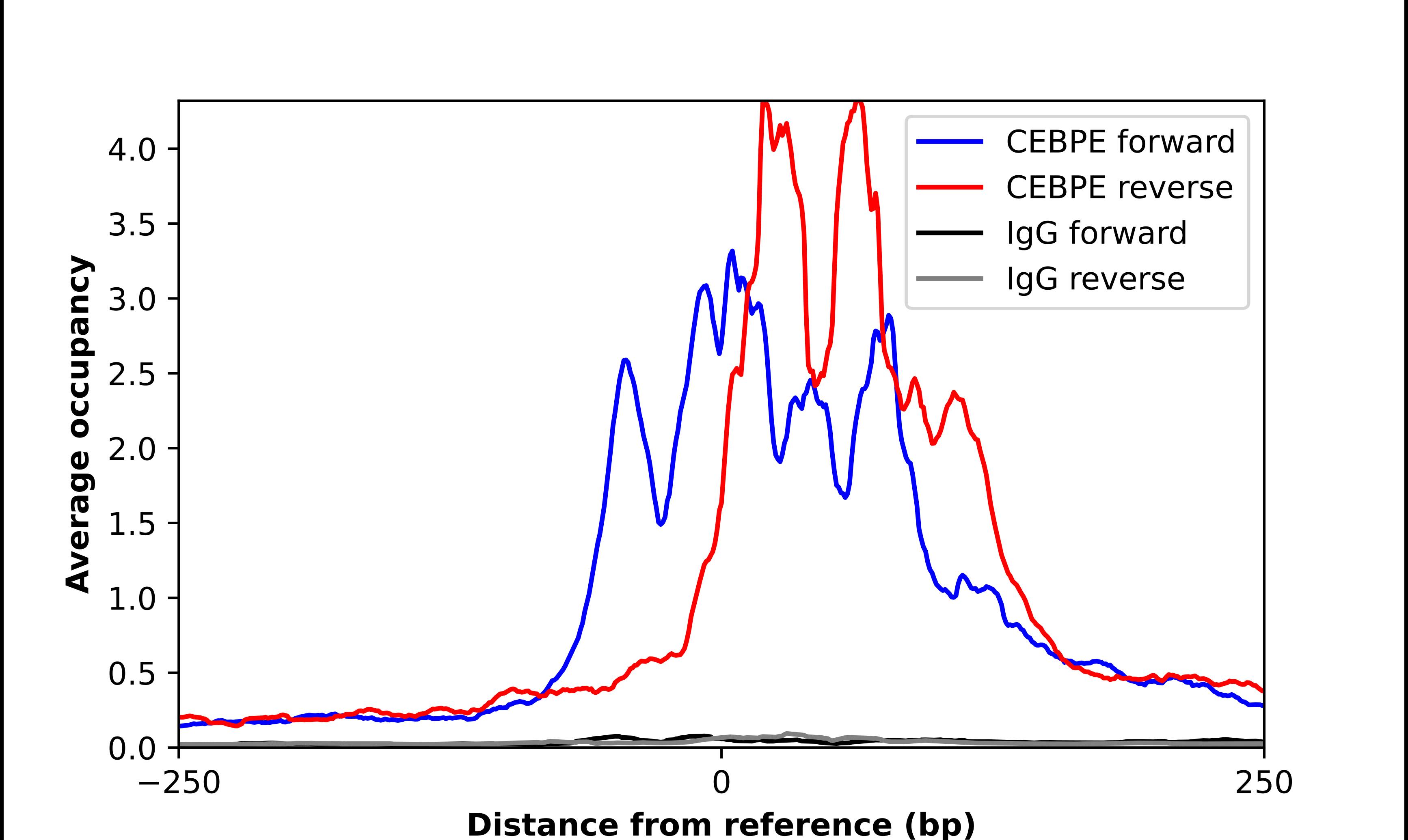 ChIP-Exo-Seq composite graph for Anti-CEBPE (NBP1-85446) tested in K562 cells. Strand-specific reads (blue: forward, red: reverse) and IgG controls (black: forward, grey: reverse) are plotted against the distance from a composite set of reference binding sites. The antibody exhibits robust target enrichment compared to a non-specific IgG control and precisely reveals its structural organization around the binding site. Data generated by Prof. B. F. Pugh´s Lab at Cornell University.