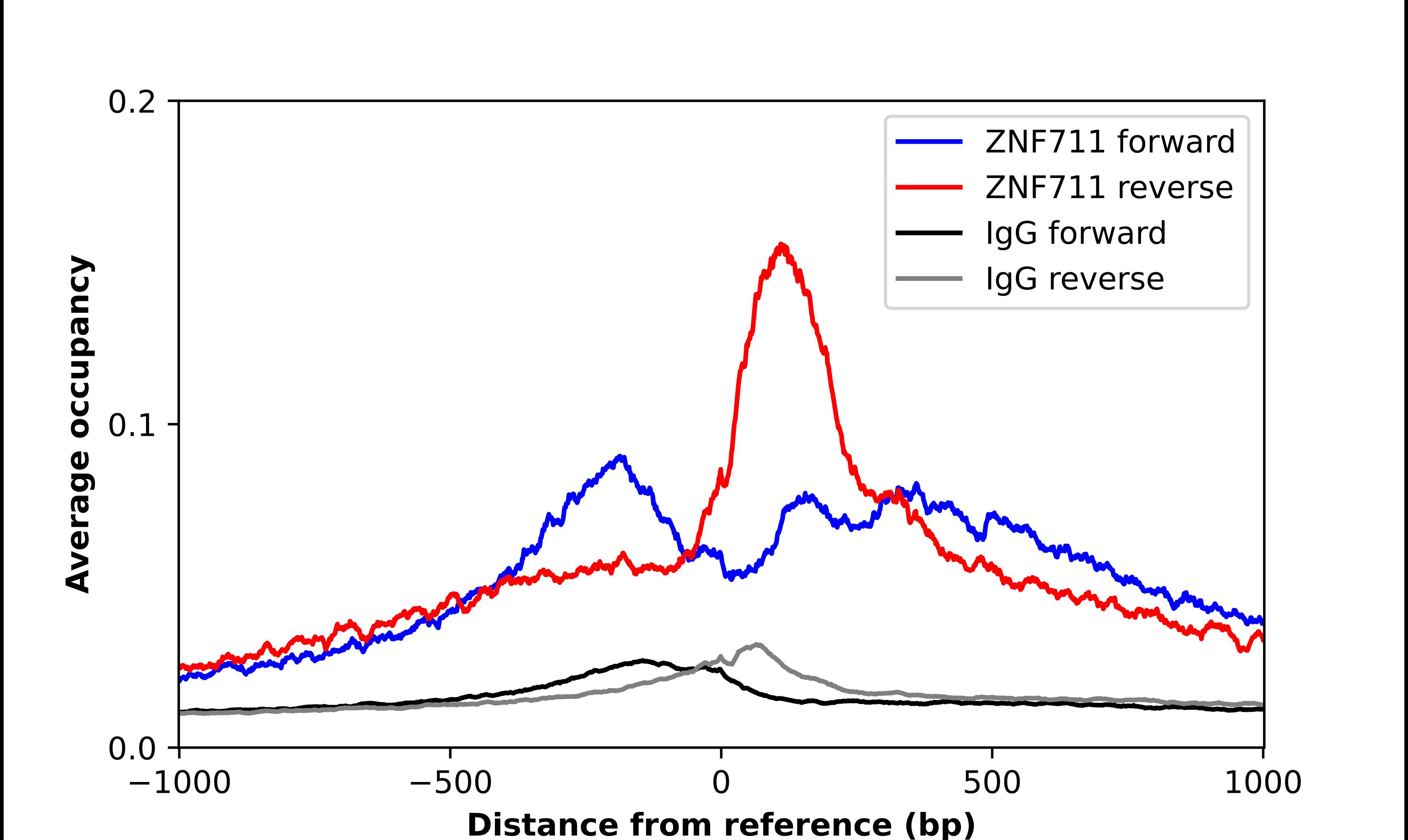 ChIP-Exo-Seq composite graph for Anti-ZNF711 (NBP1-85538) tested in K562 cells. Strand-specific reads (blue: forward, red: reverse) and IgG controls (black: forward, grey: reverse) are plotted against the distance from a composite set of reference binding sites. The antibody exhibits robust target enrichment compared to a non-specific IgG control and precisely reveals its structural organization around the binding site. Data generated by Prof. B. F. Pugh´s Lab at Cornell University.