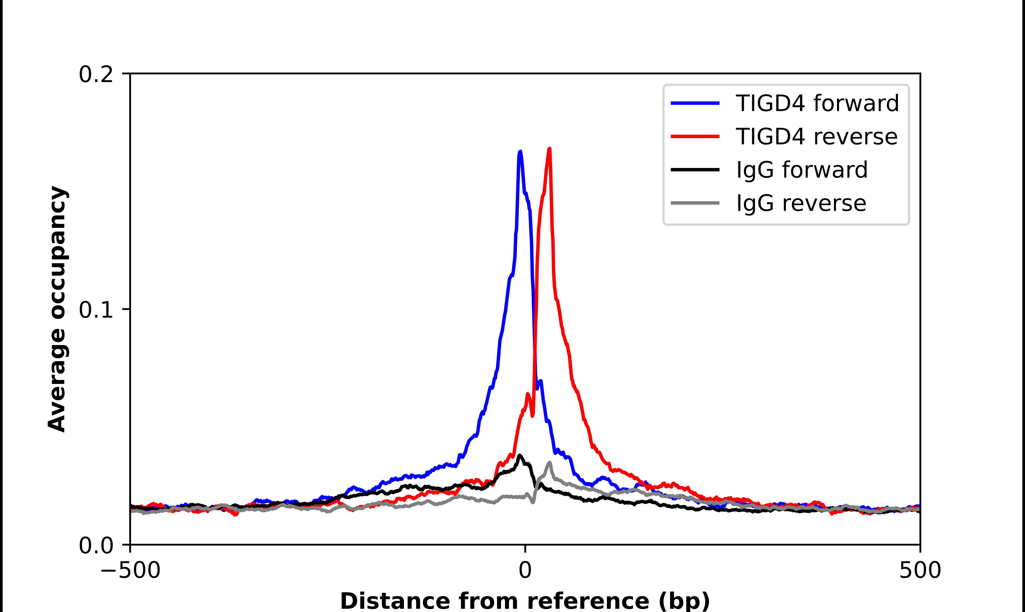 Chromatin Immunoprecipitation TIGD4 Antibody - BSA Free