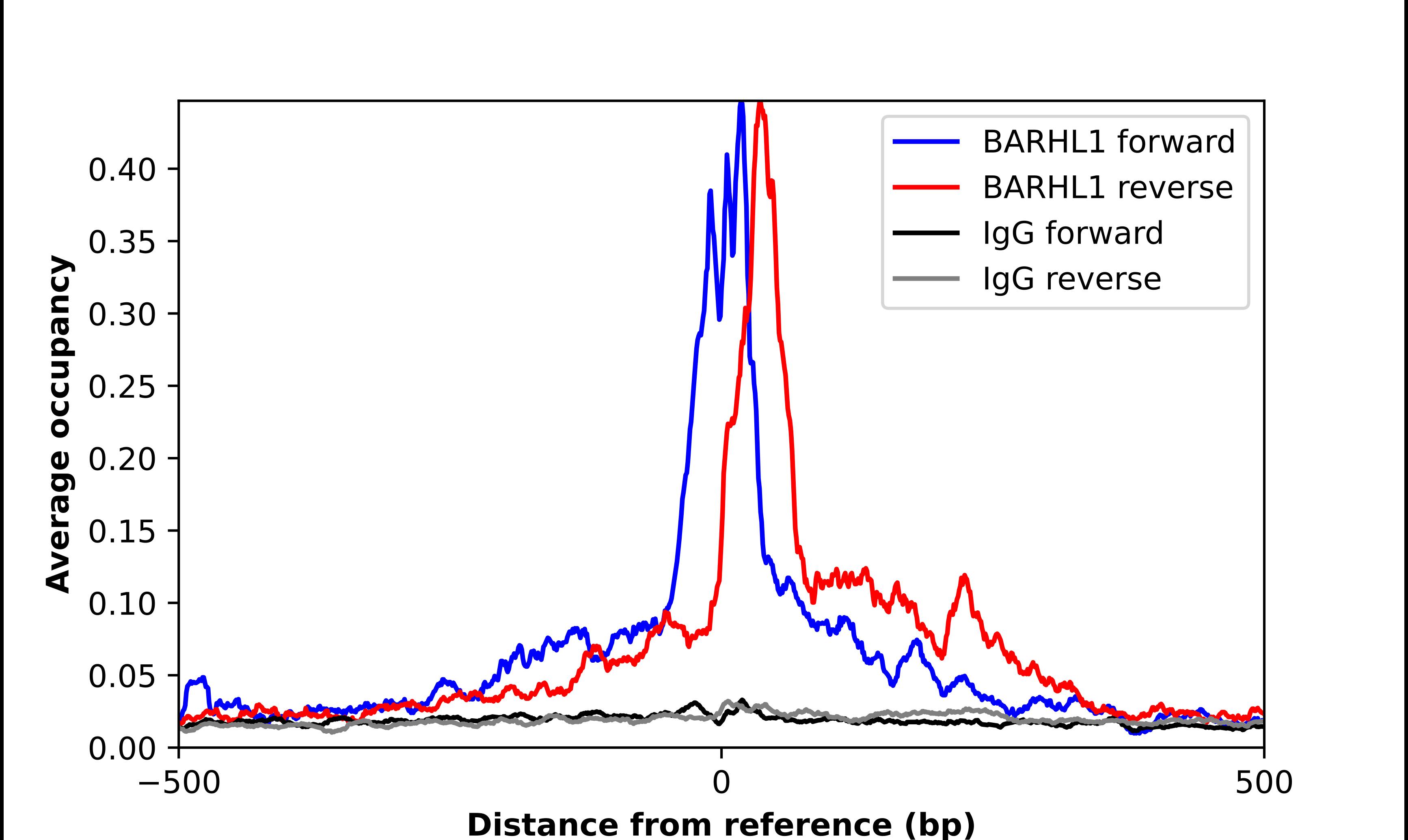ChIP-Exo-Seq composite graph for Anti-BARHL1 tested in K562 cells. Strand-specific reads (blue: forward, red: reverse) and IgG controls (black: forward, grey: reverse) are plotted against the distance from a composite set of reference binding sites. The antibody exhibits robust target enrichment compared to a non-specific IgG control and precisely reveals its structural organization around the binding site. Data generated by Prof. B. F. Pugh's Lab at Cornell University.