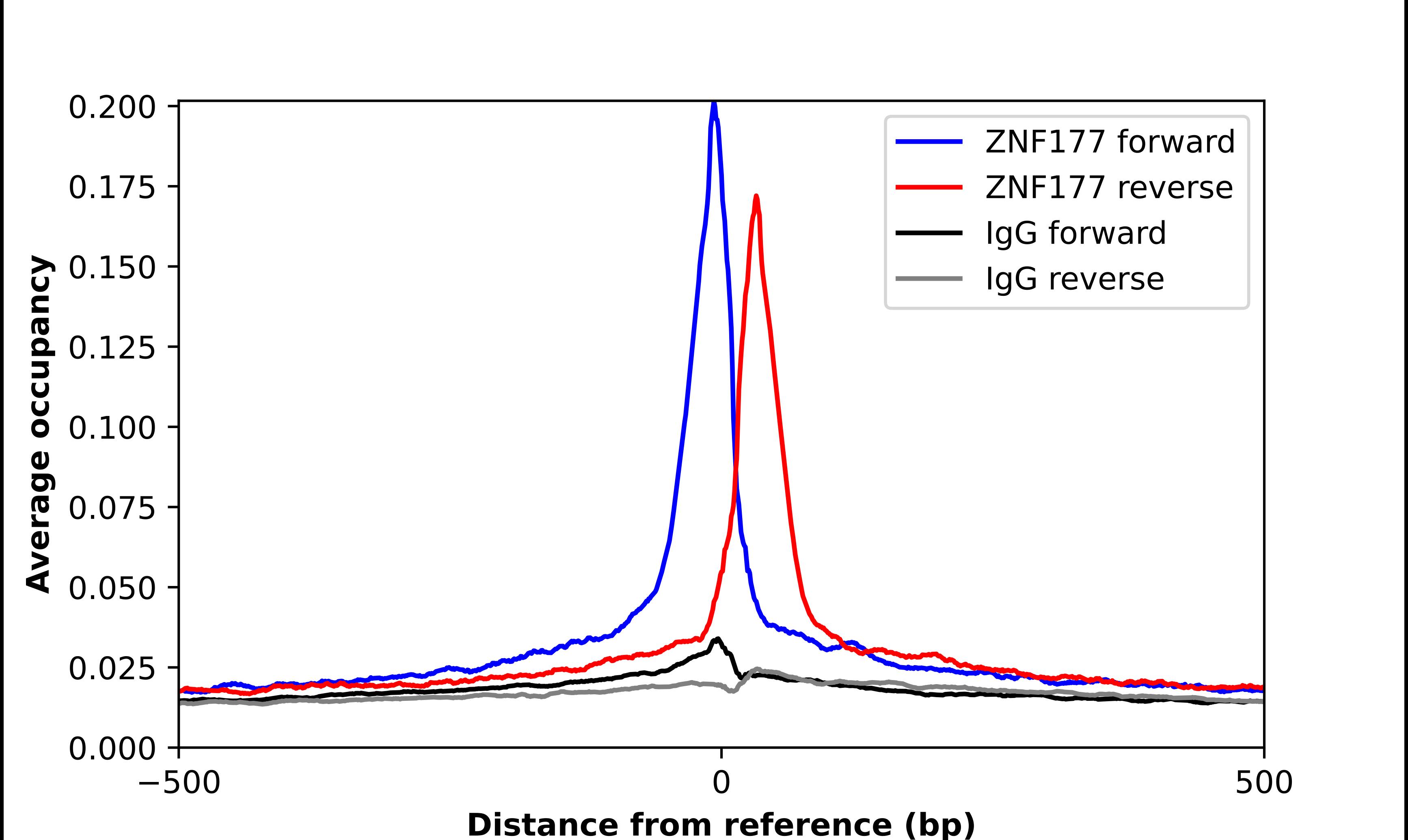 ChIP-Exo-Seq composite graph for Anti-ZNF177 tested in K562 cells. Strand-specific reads (blue: forward, red: reverse) and IgG controls (black: forward, grey: reverse) are plotted against the distance from a composite set of reference binding sites. The antibody exhibits robust target enrichment compared to a non-specific IgG control and precisely reveals its structural organization around the binding site. Data generated by Prof. B. F. Pugh's Lab at Cornell University.