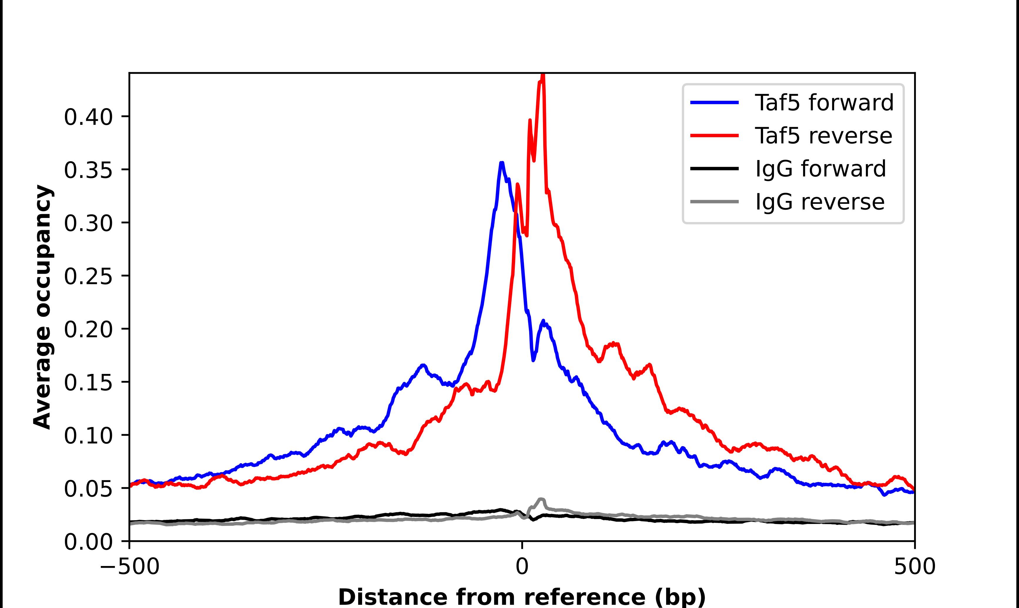 ChIP-Exo-Seq composite graph for Anti-TAF5 tested in K562 cells. Strand-specific reads (blue: forward, red: reverse) and IgG controls (black: forward, grey: reverse) are plotted against the distance from a composite set of reference binding sites. The antibody exhibits robust target enrichment compared to a non-specific IgG control and precisely reveals its structural organization around the binding site. Data generated by Prof. B. F. Pugh's Lab at Cornell University.