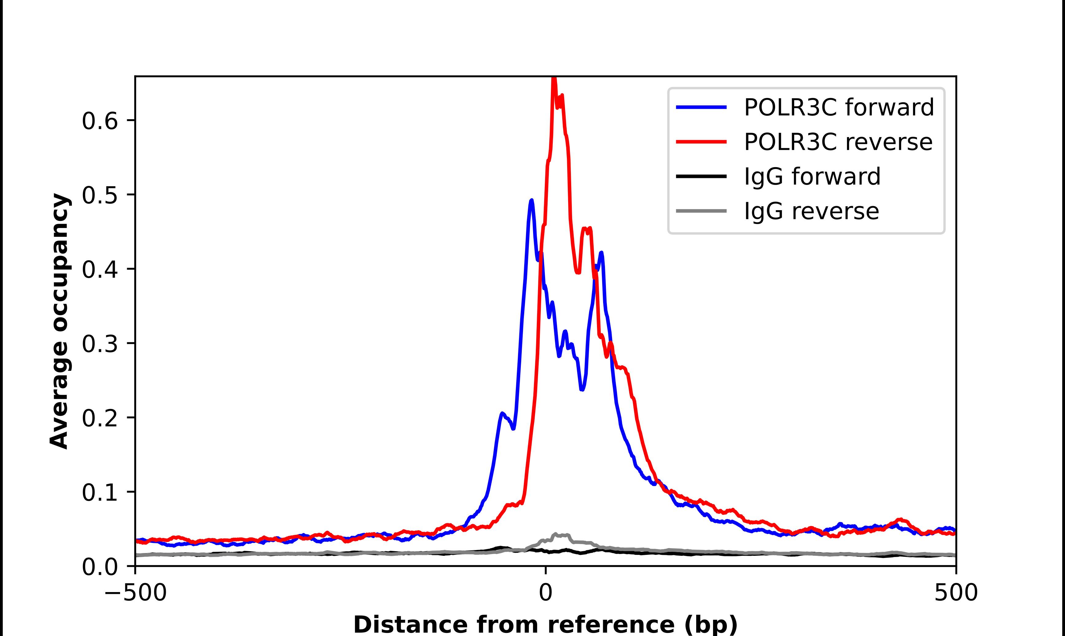 ChIP-Exo-Seq composite graph for Anti-RPC62 tested in K562 cells. Strand-specific reads (blue: forward, red: reverse) and IgG controls (black: forward, grey: reverse) are plotted against the distance from a composite set of reference binding sites. The antibody exhibits robust target enrichment compared to a non-specific IgG control and precisely reveals its structural organization around the binding site. Data generated by Prof. B. F. Pugh's Lab at Cornell University.