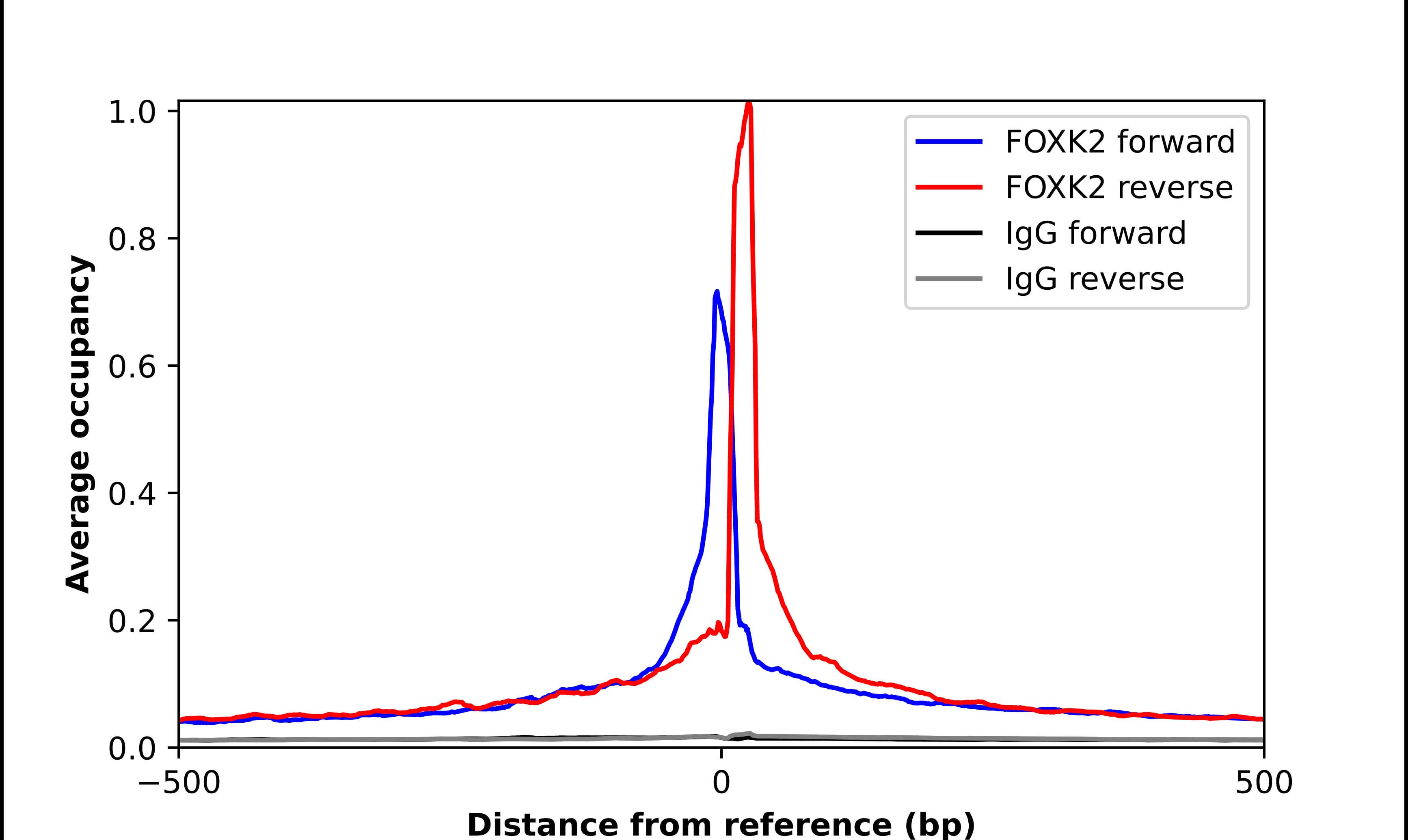 ChIP-Exo-Seq composite graph for Anti-FOXK2 (NBP1-87700) tested in K562 cells. Strand-specific reads (blue: forward, red: reverse) and IgG controls (black: forward, grey: reverse) are plotted against the distance from a composite set of reference binding sites. The antibody exhibits robust target enrichment compared to a non-specific IgG control and precisely reveals its structural organization around the binding site. Data generated by Prof. B. F. Pugh´s Lab at Cornell University.
