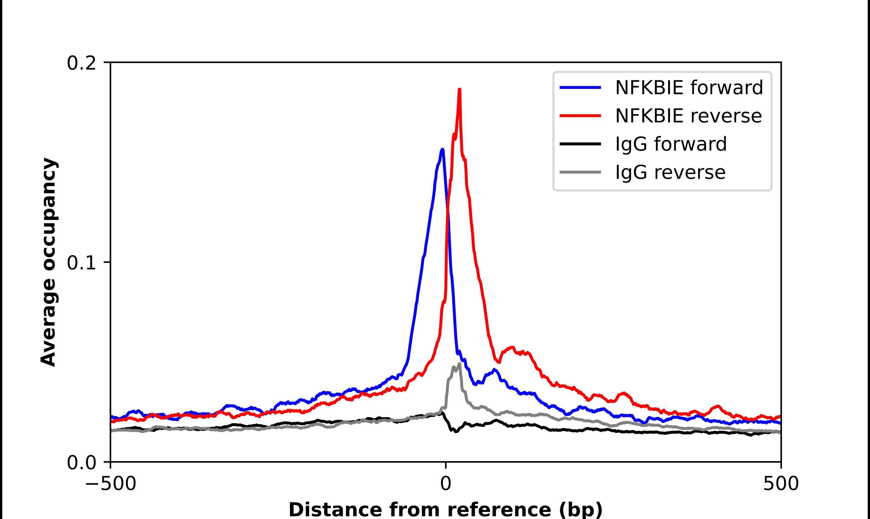 ChIP-Exo-Seq composite graph for Anti-IkB-epsilon tested in K562 cells. Strand-specific reads (blue: forward, red: reverse) and IgG controls (black: forward, grey: reverse) are plotted against the distance from a composite set of reference binding sites. The antibody exhibits robust target enrichment compared to a non-specific IgG control and precisely reveals its structural organization around the binding site. Data generated by Prof. B. F. Pugh's Lab at Cornell University.