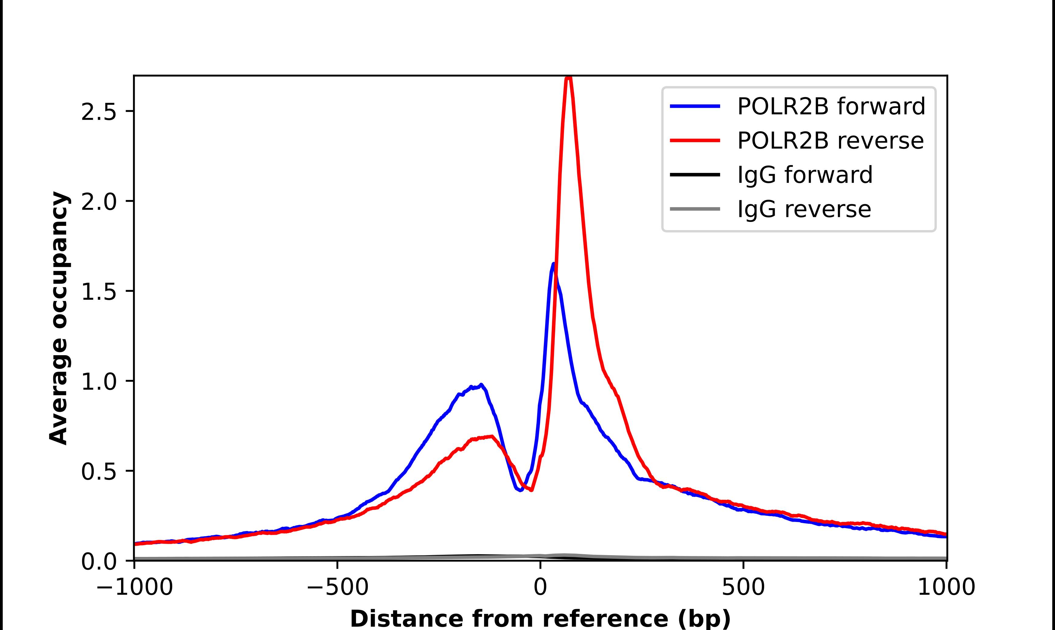 ChIP-Exo-Seq composite graph for Anti-POLR2B (NBP1-87786) tested in K562 cells. Strand-specific reads (blue: forward, red: reverse) and IgG controls (black: forward, grey: reverse) are plotted against the distance from a composite set of reference binding sites. The antibody exhibits robust target enrichment compared to a non-specific IgG control and precisely reveals its structural organization around the binding site. Data generated by Prof. B. F. Pugh´s Lab at Cornell University.