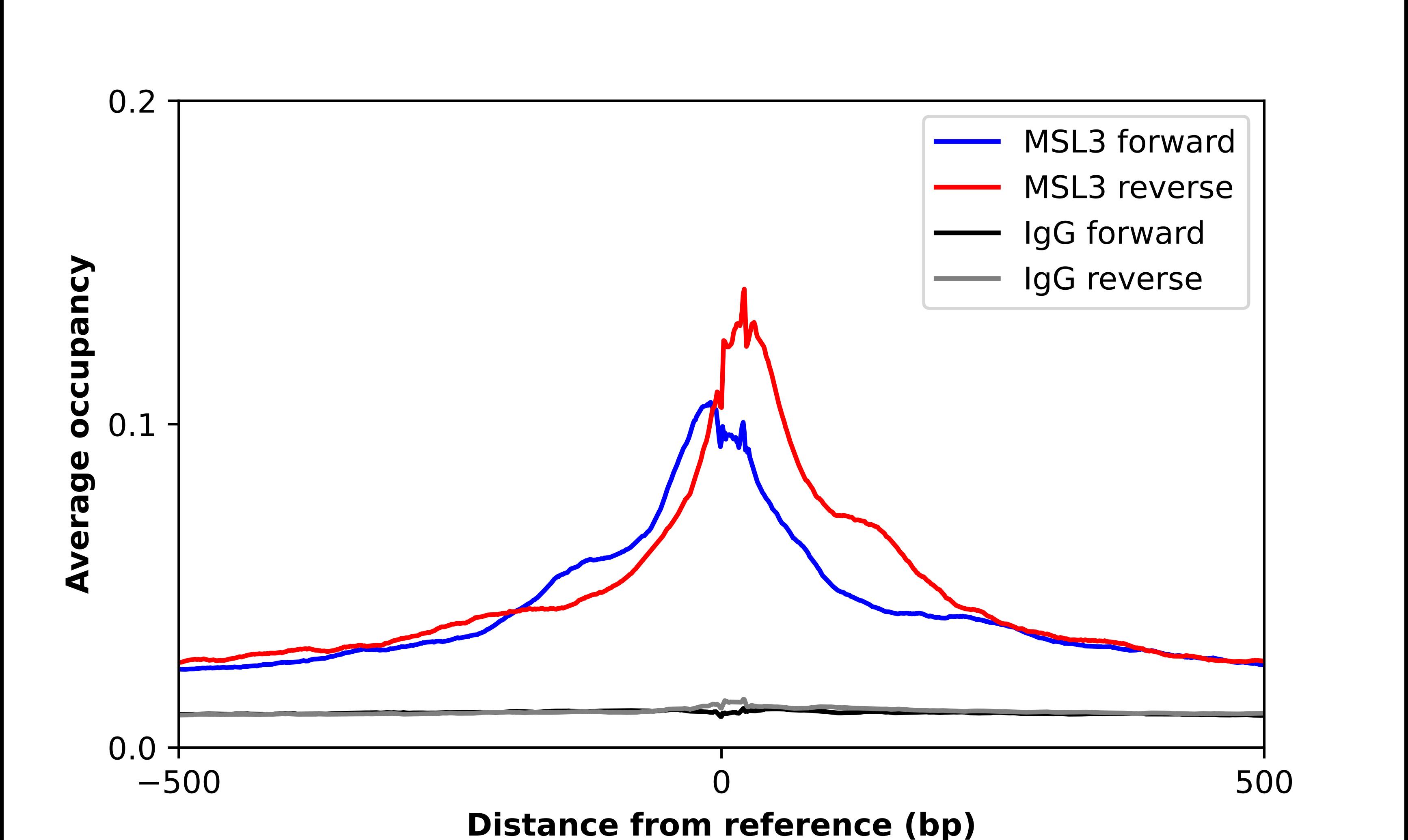 Chromatin Immunoprecipitation MSL3L1 Antibody - BSA Free