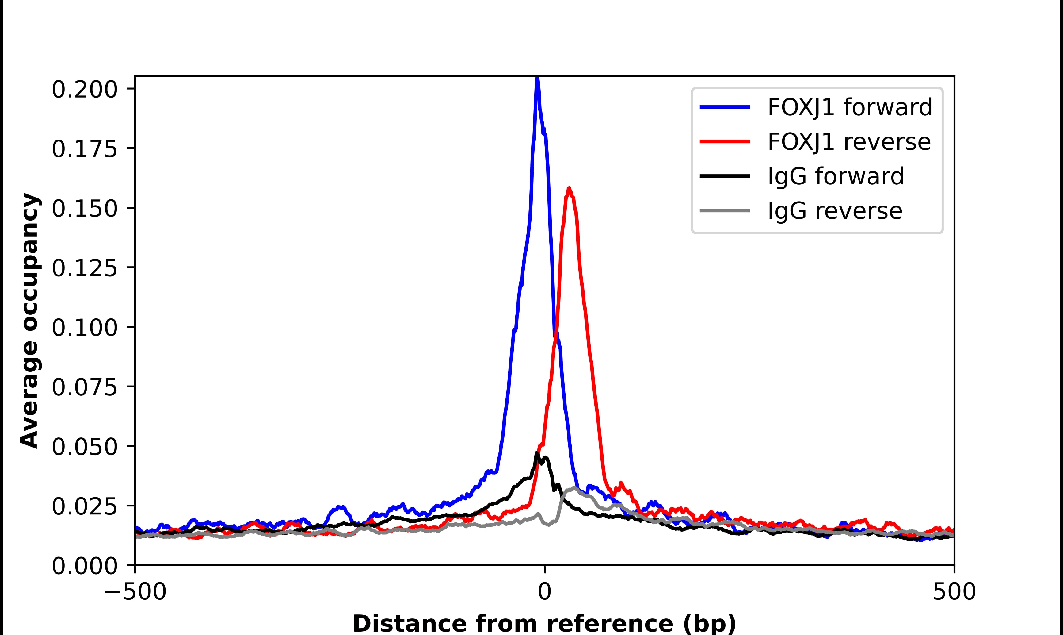 ChIP-Exo-Seq composite graph for Anti-FoxJ1/HFH4 tested in K562 cells. Strand-specific reads (blue: forward, red: reverse) and IgG controls (black: forward, grey: reverse) are plotted against the distance from a composite set of reference binding sites. The antibody exhibits robust target enrichment compared to a non-specific IgG control and precisely reveals its structural organization around the binding site. Data generated by Prof. B. F. Pugh's Lab at Cornell University.