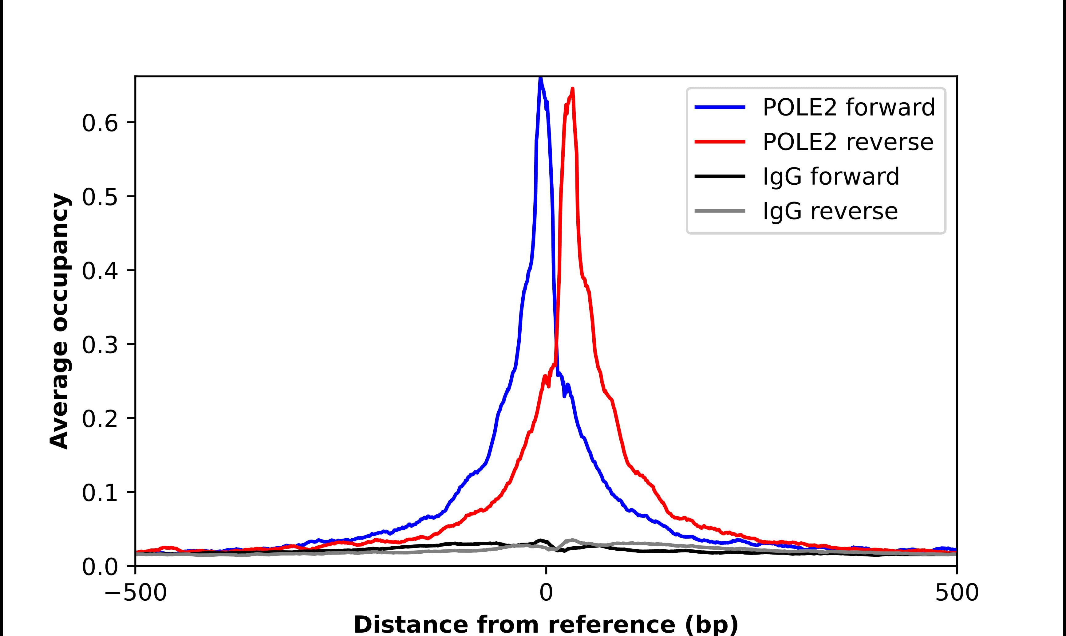 ChIP-Exo-Seq composite graph for Anti-DNA Polymerase epsilon p59 tested in K562 cells. Strand-specific reads (blue: forward, red: reverse) and IgG controls (black: forward, grey: reverse) are plotted against the distance from a composite set of reference binding sites. The antibody exhibits robust target enrichment compared to a non-specific IgG control and precisely reveals its structural organization around the binding site. Data generated by Prof. B. F. Pugh's Lab at Cornell University.
