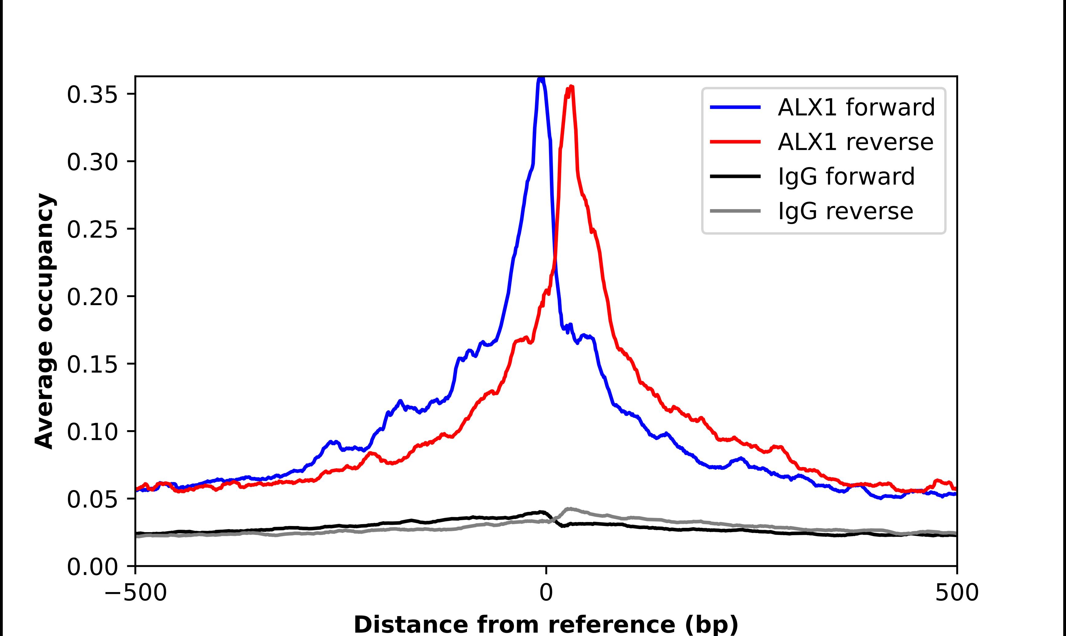 ChIP-Exo-Seq composite graph for Anti-CART1 tested in K562 cells. Strand-specific reads (blue: forward, red: reverse) and IgG controls (black: forward, grey: reverse) are plotted against the distance from a composite set of reference binding sites. The antibody exhibits robust target enrichment compared to a non-specific IgG control and precisely reveals its structural organization around the binding site. Data generated by Prof. B. F. Pugh's Lab at Cornell University.