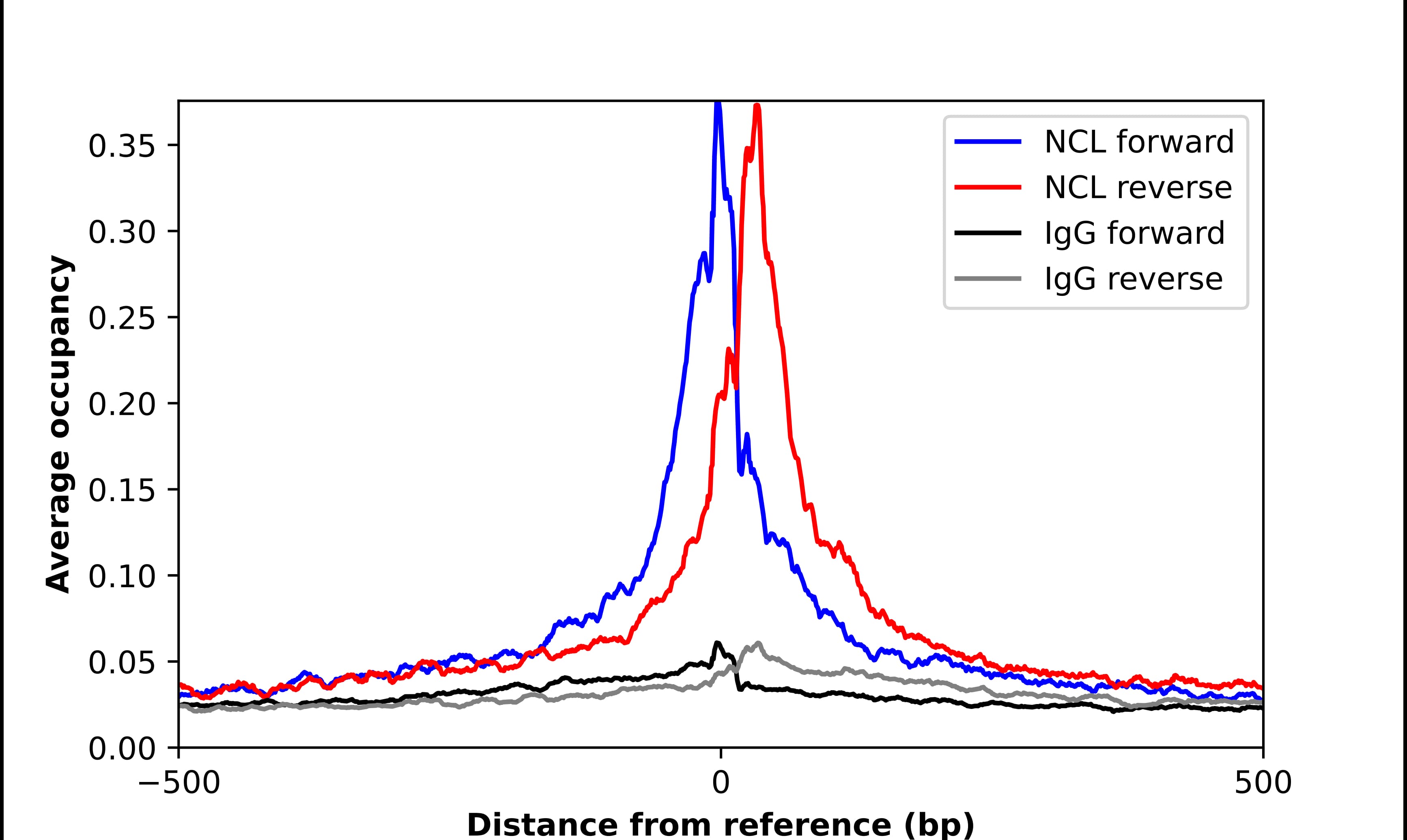 ChIP-Exo-Seq composite graph for Anti-NCL (NBP1-88271) tested in K562 cells. Strand-specific reads (blue: forward, red: reverse) and IgG controls (black: forward, grey: reverse) are plotted against the distance from a composite set of reference binding sites. The antibody exhibits robust target enrichment compared to a non-specific IgG control and precisely reveals its structural organization around the binding site. Data generated by Prof. B. F. Pugh´s Lab at Cornell University.