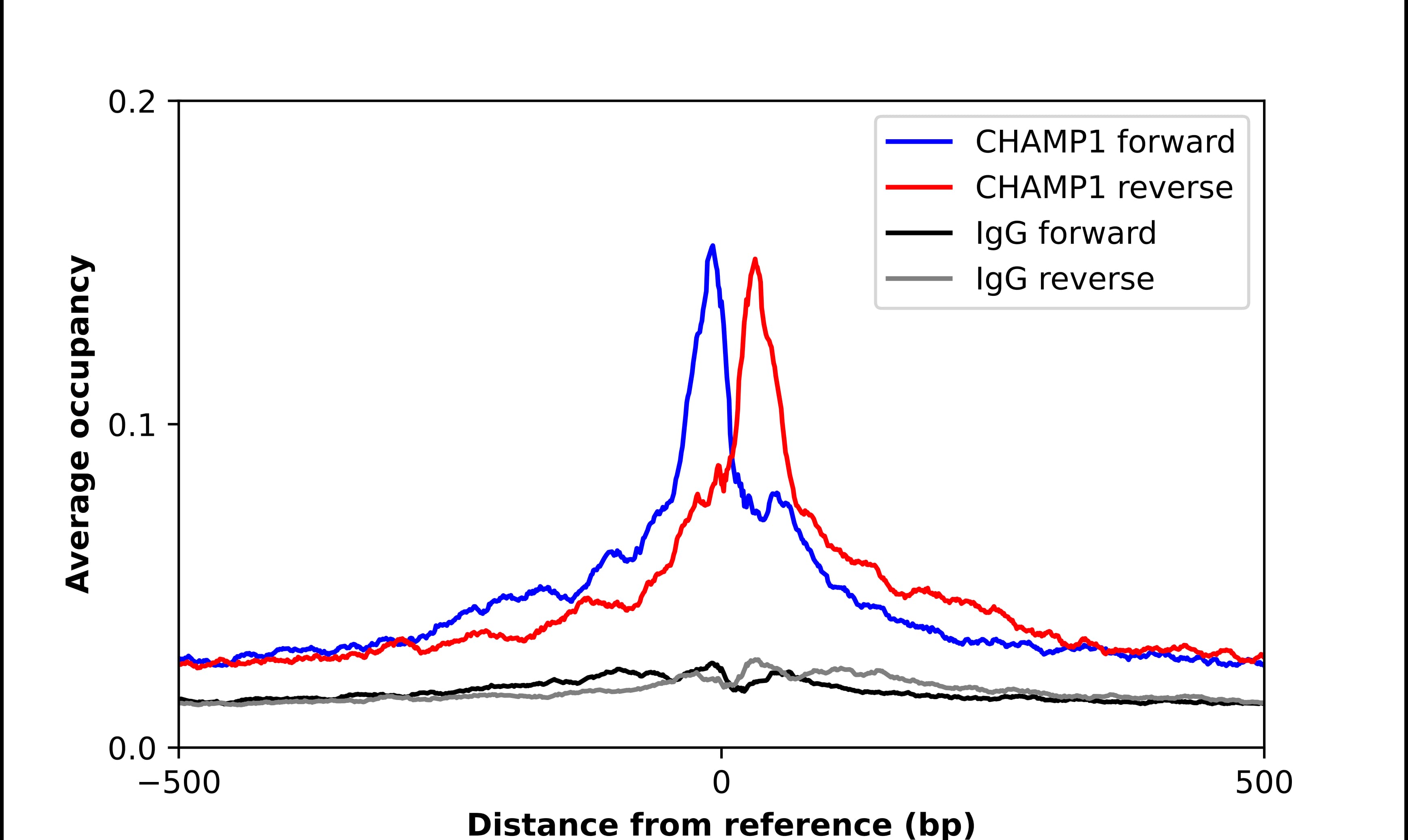 ChIP-Exo-Seq composite graph for Anti-ZNF828 tested in K562 cells. Strand-specific reads (blue: forward, red: reverse) and IgG controls (black: forward, grey: reverse) are plotted against the distance from a composite set of reference binding sites. The antibody exhibits robust target enrichment compared to a non-specific IgG control and precisely reveals its structural organization around the binding site. Data generated by Prof. B. F. Pugh's Lab at Cornell University.
