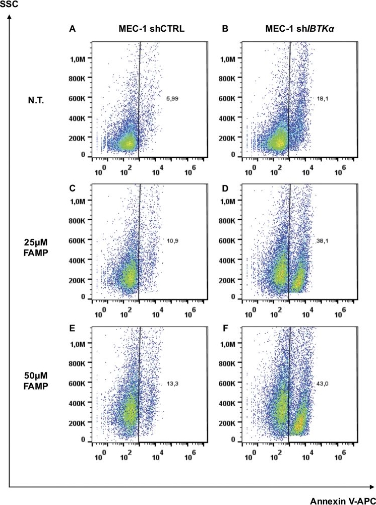 Flow Cytometry: IBTK Antibody [NBP1-88512] - IBTK alpha  RNA interference increases spontaneous & fludarabine–induced apoptosis in MEC-1 CLL cells MEC-1 cells were transduced with TurboGFP-shCTRL or TurboGFP-shIBTK alpha  (Sigma-Aldrich), & after 5 days were left untreated (N.T.) a, b or 72 h-treated with Fludarabine at 25 µM c & d or 50 µM e, f. Then, cells were collected, stained with Annexin-V-APC & analysed by flow cytometry. Binding of Annexin-V-APC was measured for GFP-positive cells, as positive control of transduction. A representative experiment of three independent experiments is shown. Statistically significant differences were assessed using Mann–Whitney test (GraphPad Prism 6), as follows: a vs. bp = 0.0043; c vs. dp = 0.0002; e vs. fp = 0.0001 Image collected & cropped by CiteAb from the following publication (//www.nature.com/articles/s41419-017-0026-3), licensed under a CC-BY license. Not internally tested by Novus Biologicals.