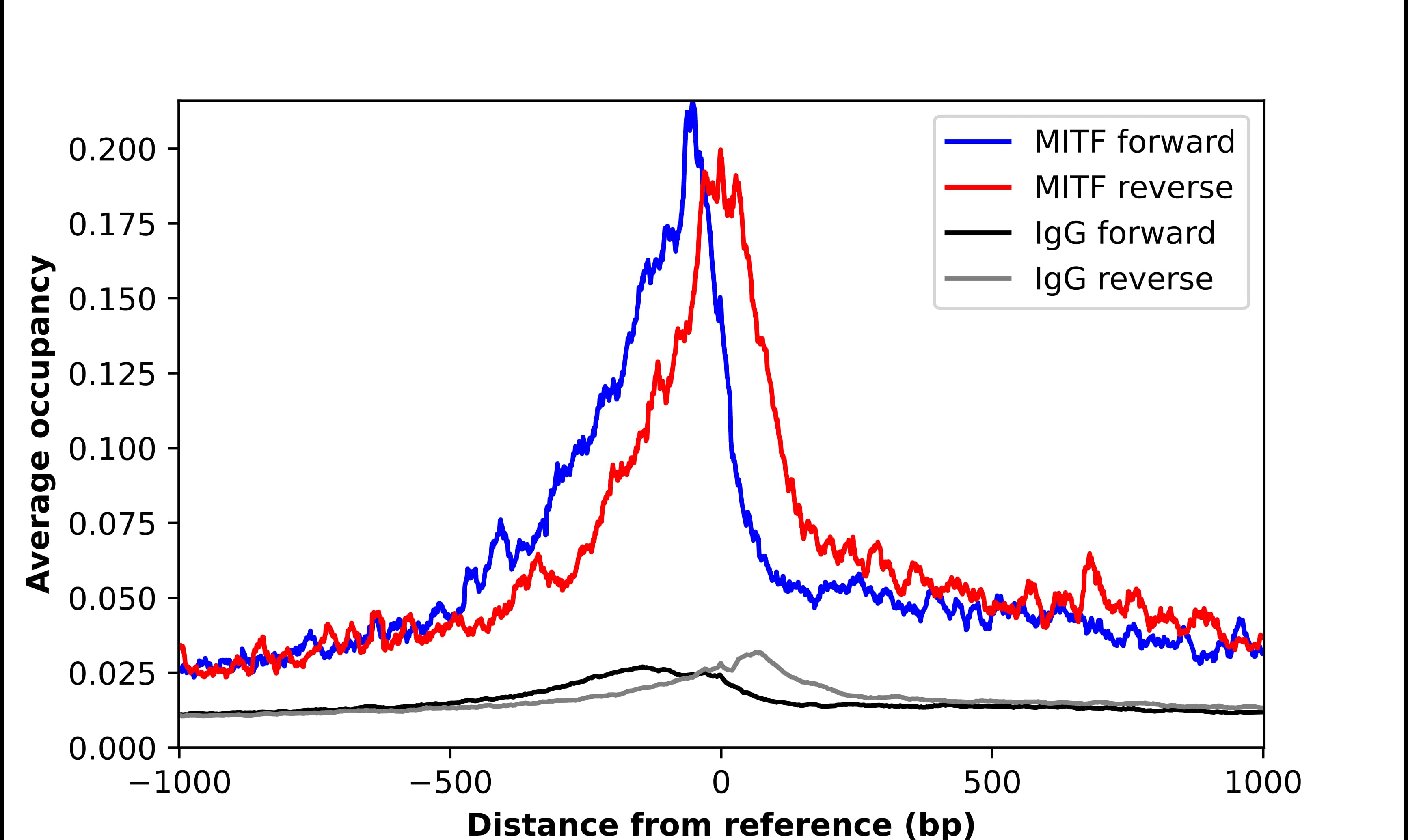 ChIP-Exo-Seq composite graph for Anti-MITF (NBP1-88618) tested in K562 cells. Strand-specific reads (blue: forward, red: reverse) and IgG controls (black: forward, grey: reverse) are plotted against the distance from a composite set of reference binding sites. The antibody exhibits robust target enrichment compared to a non-specific IgG control and precisely reveals its structural organization around the binding site. Data generated by Prof. B. F. Pugh´s Lab at Cornell University.