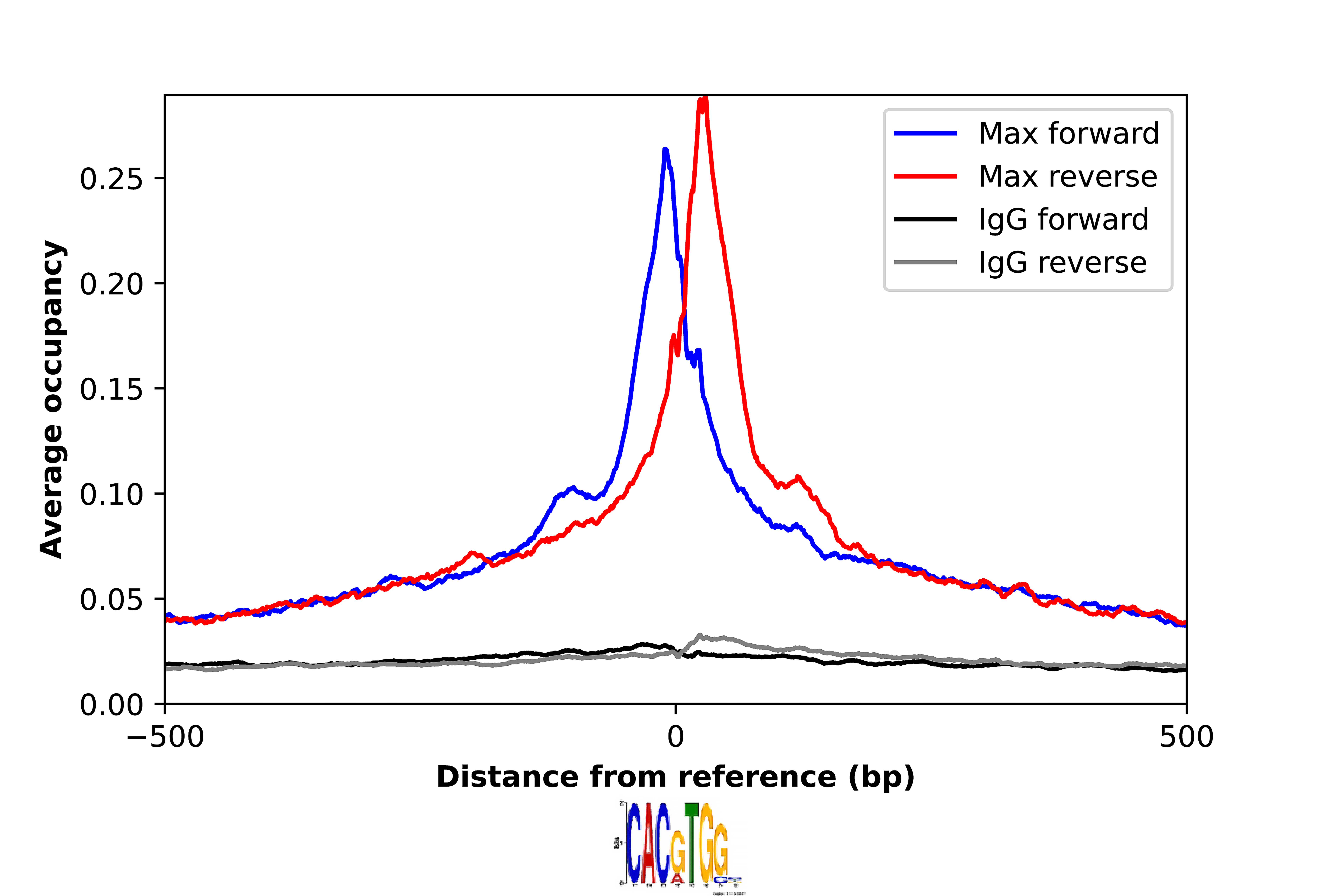 ChIP-Exo-Seq composite graph for Anti-MAX (NBP1-88624) tested in K562 cells. Strand-specific reads (blue: forward, red: reverse) and IgG controls (black: forward, grey: reverse) are plotted against the distance from a composite set of reference binding sites. The antibody exhibits robust target enrichment compared to a non-specific IgG control and precisely reveals its structural organization around the binding site. Data generated by Prof. B. F. Pugh´s Lab at Cornell University.