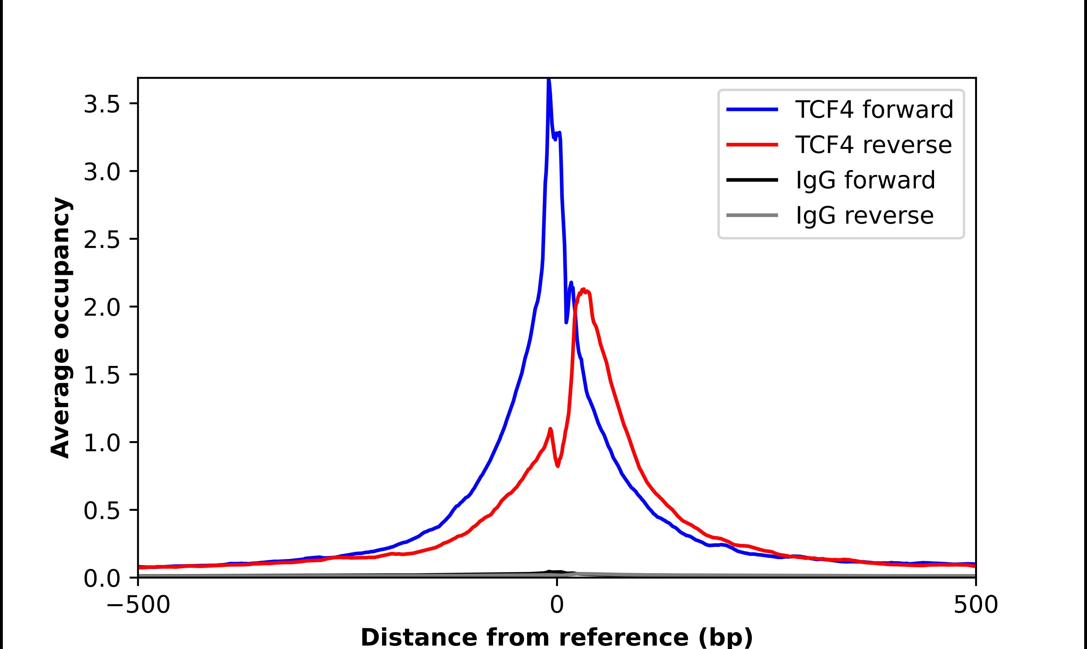 Chromatin Immunoprecipitation TCF4 Antibody - BSA Free