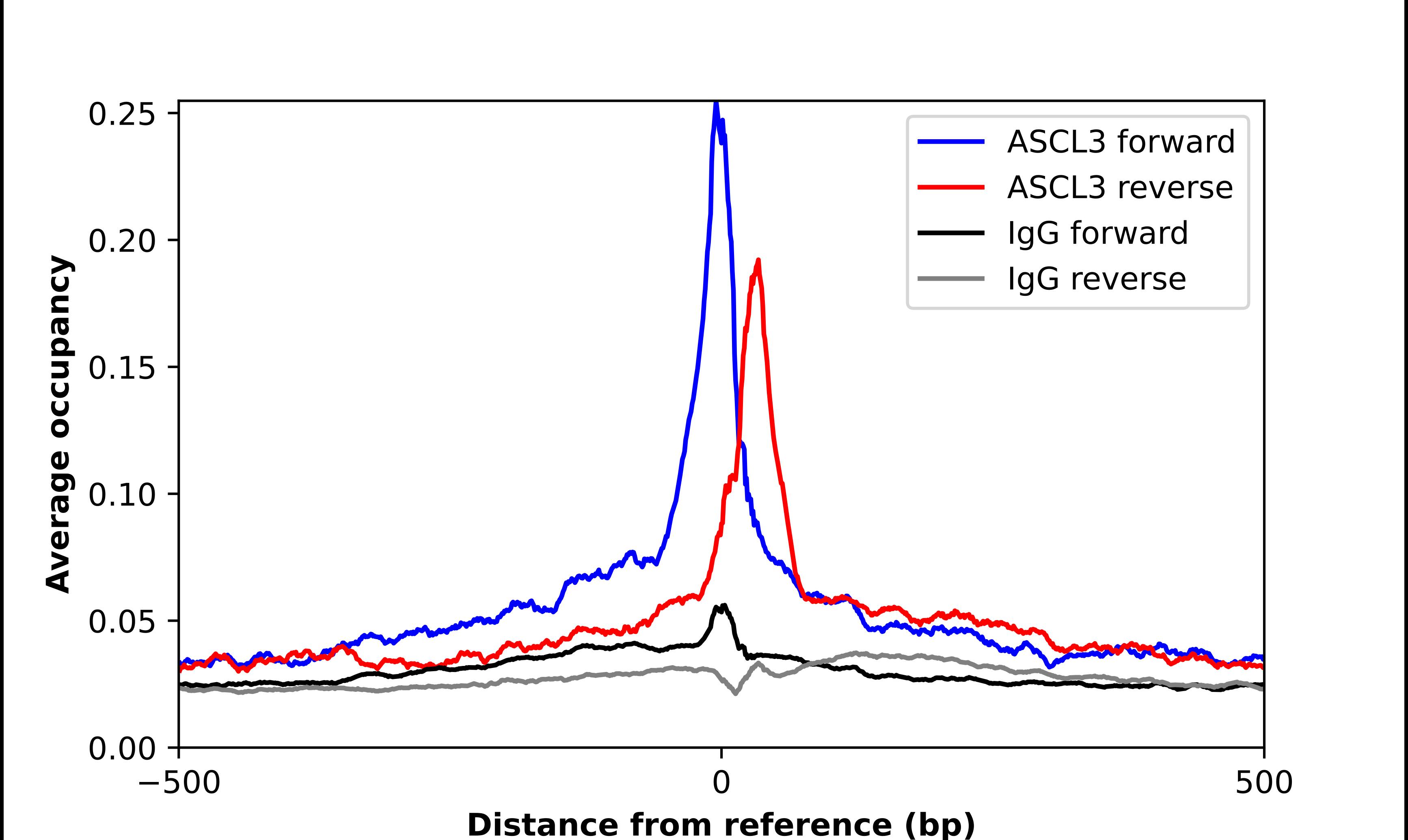 ChIP-Exo-Seq composite graph for Anti-ASCL3 tested in K562 cells. Strand-specific reads (blue: forward, red: reverse) and IgG controls (black: forward, grey: reverse) are plotted against the distance from a composite set of reference binding sites. The antibody exhibits robust target enrichment compared to a non-specific IgG control and precisely reveals its structural organization around the binding site. Data generated by Prof. B. F. Pugh's Lab at Cornell University.