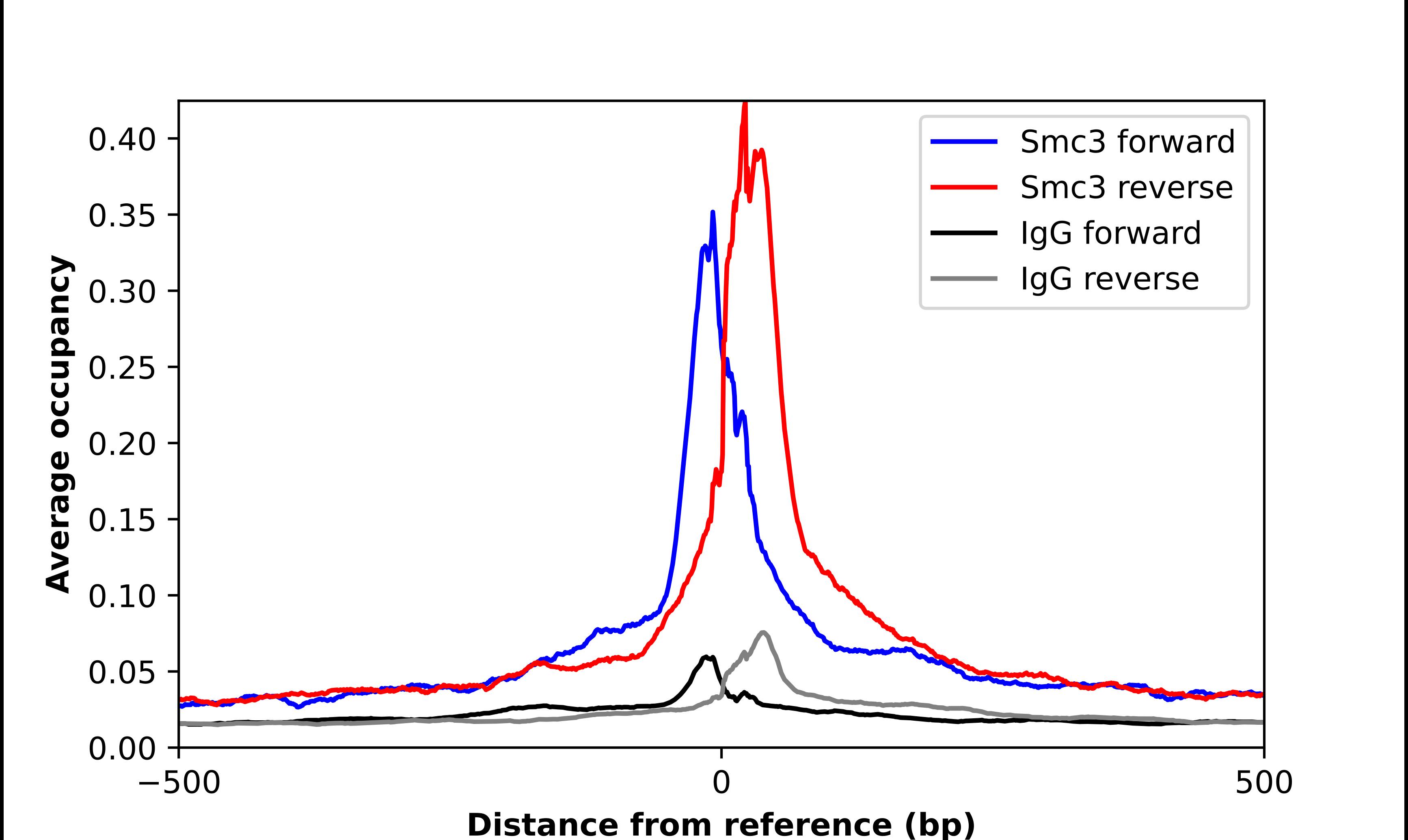 ChIP-Exo-Seq composite graph for Anti-SMC3 (NBP1-88715) tested in K562 cells. Strand-specific reads (blue: forward, red: reverse) and IgG controls (black: forward, grey: reverse) are plotted against the distance from a composite set of reference binding sites. The antibody exhibits robust target enrichment compared to a non-specific IgG control and precisely reveals its structural organization around the binding site. Data generated by Prof. B. F. Pugh´s Lab at Cornell University.