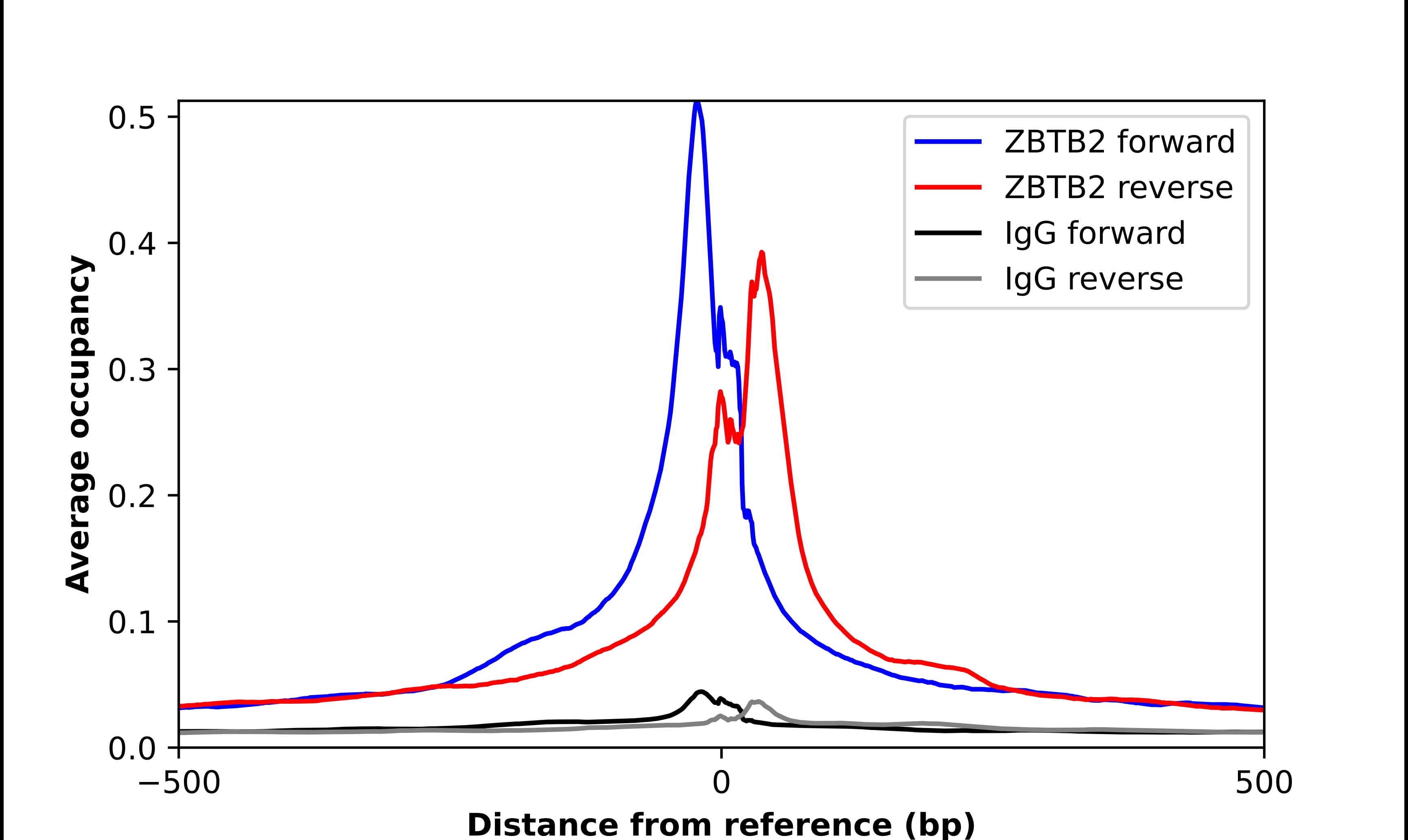 ChIP-Exo-Seq composite graph for Anti-ZBTB2 (NBP1-88786) tested in K562 cells. Strand-specific reads (blue: forward, red: reverse) and IgG controls (black: forward, grey: reverse) are plotted against the distance from a composite set of reference binding sites. The antibody exhibits robust target enrichment compared to a non-specific IgG control and precisely reveals its structural organization around the binding site. Data generated by Prof. B. F. Pugh´s Lab at Cornell University.