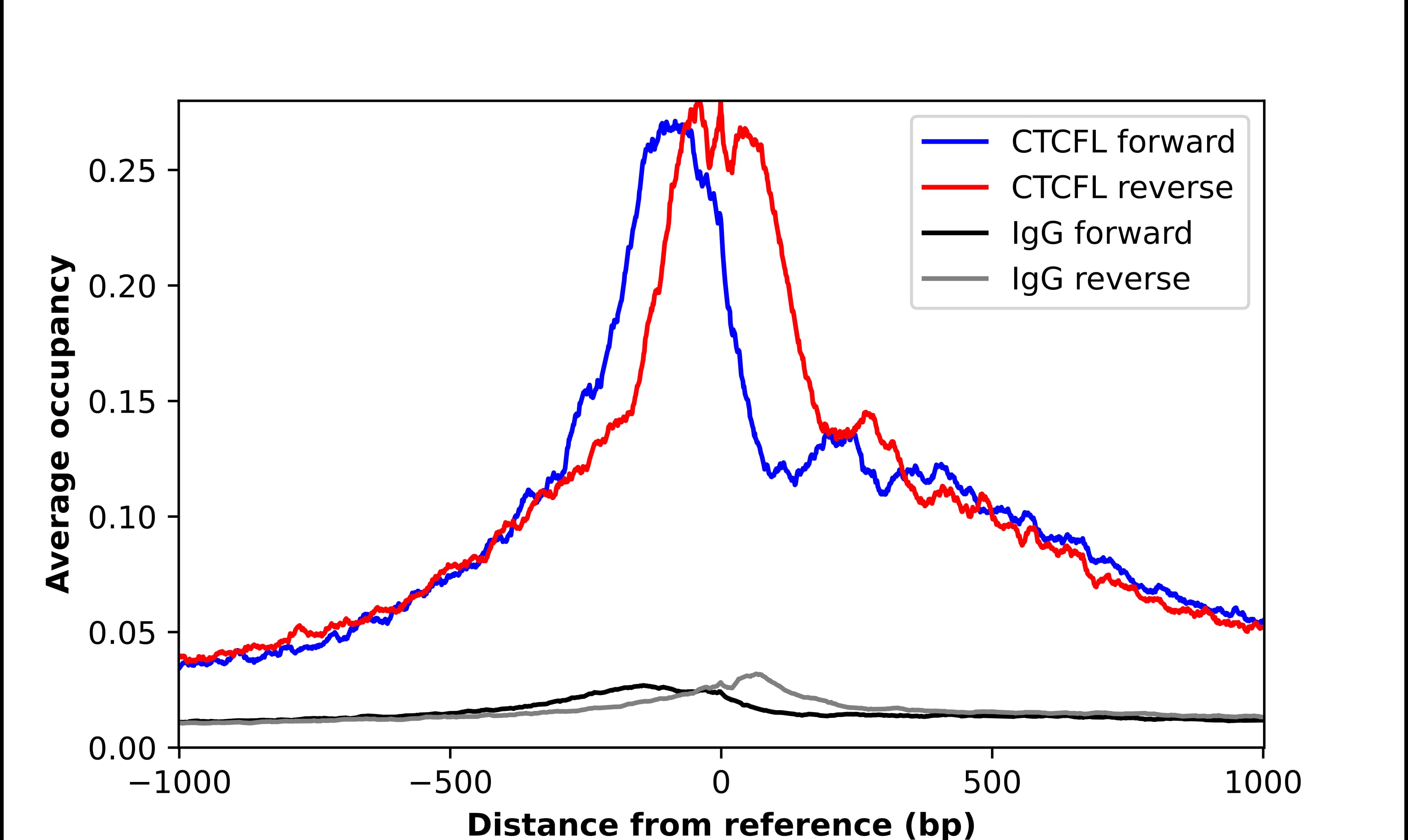 ChIP-Exo-Seq composite graph for Anti-CTCFL (NBP1-89947) tested in K562 cells. Strand-specific reads (blue: forward, red: reverse) and IgG controls (black: forward, grey: reverse) are plotted against the distance from a composite set of reference binding sites. The antibody exhibits robust target enrichment compared to a non-specific IgG control and precisely reveals its structural organization around the binding site. Data generated by Prof. B. F. Pugh´s Lab at Cornell University.