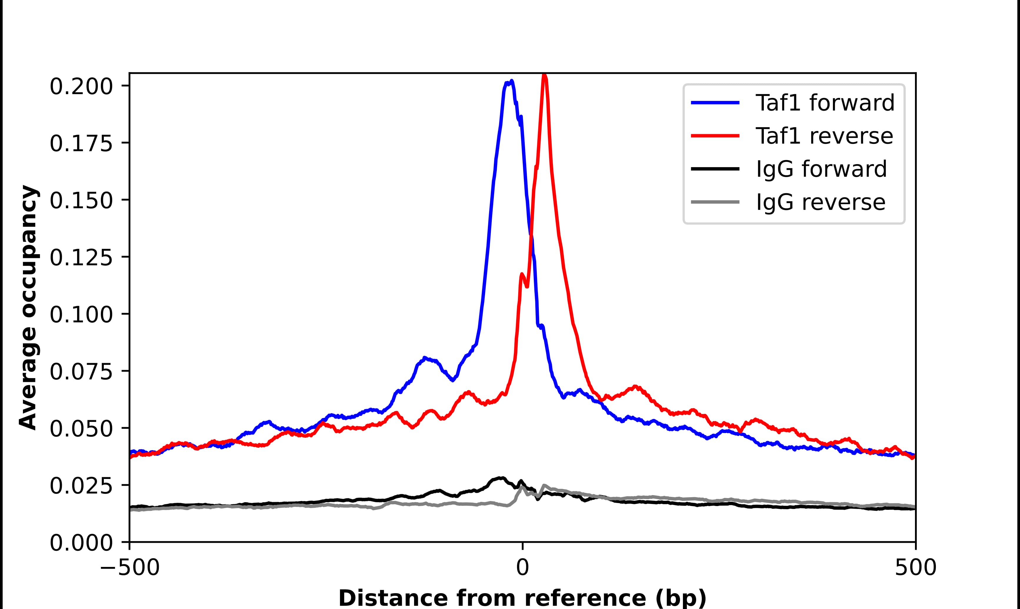 Chromatin Immunoprecipitation KAT4/TBP Associated Factor 1 Antibody - BSA Free