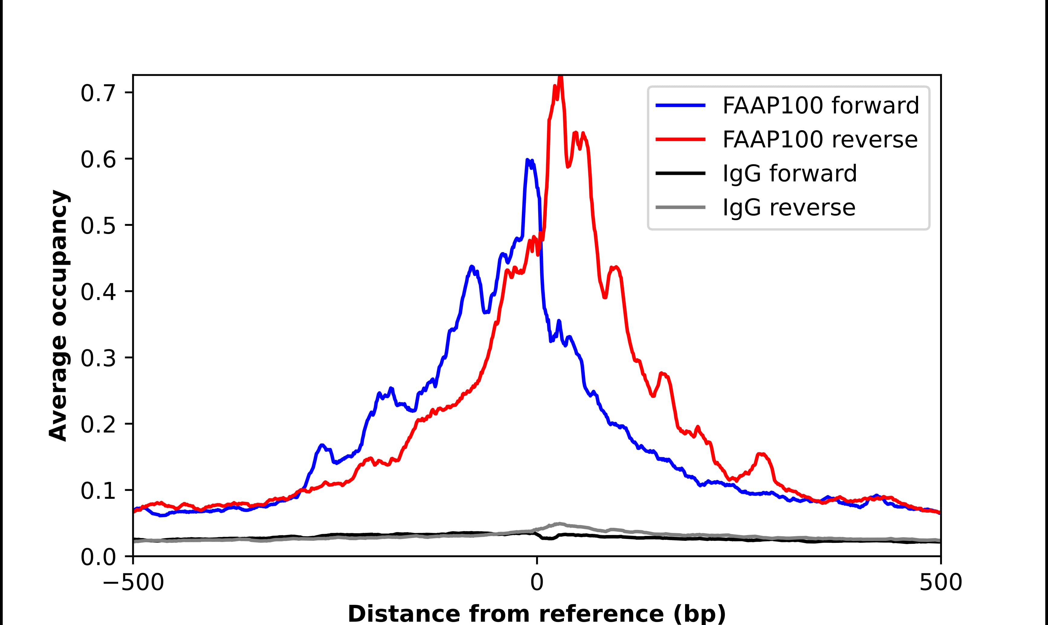 ChIP-Exo-Seq composite graph for Anti-FAAP100 tested in K562 cells. Strand-specific reads (blue: forward, red: reverse) and IgG controls (black: forward, grey: reverse) are plotted against the distance from a composite set of reference binding sites. The antibody exhibits robust target enrichment compared to a non-specific IgG control and precisely reveals its structural organization around the binding site. Data generated by Prof. B. F. Pugh's Lab at Cornell University.
