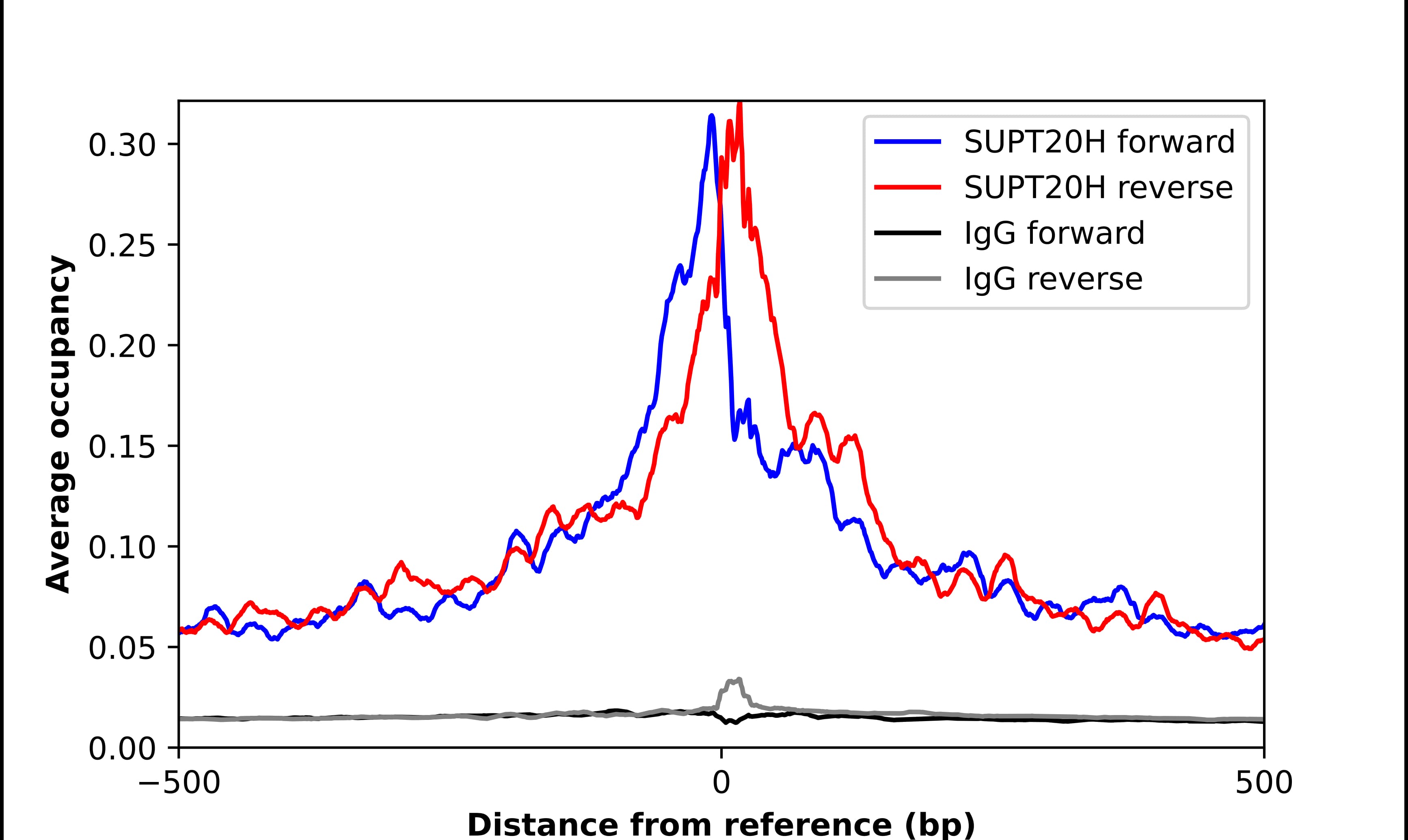 ChIP-Exo-Seq composite graph for Anti-SUPT20H (NBP1-90795) tested in K562 cells. Strand-specific reads (blue: forward, red: reverse) and IgG controls (black: forward, grey: reverse) are plotted against the distance from a composite set of reference binding sites. The antibody exhibits robust target enrichment compared to a non-specific IgG control and precisely reveals its structural organization around the binding site. Data generated by Prof. B. F. Pugh´s Lab at Cornell University.