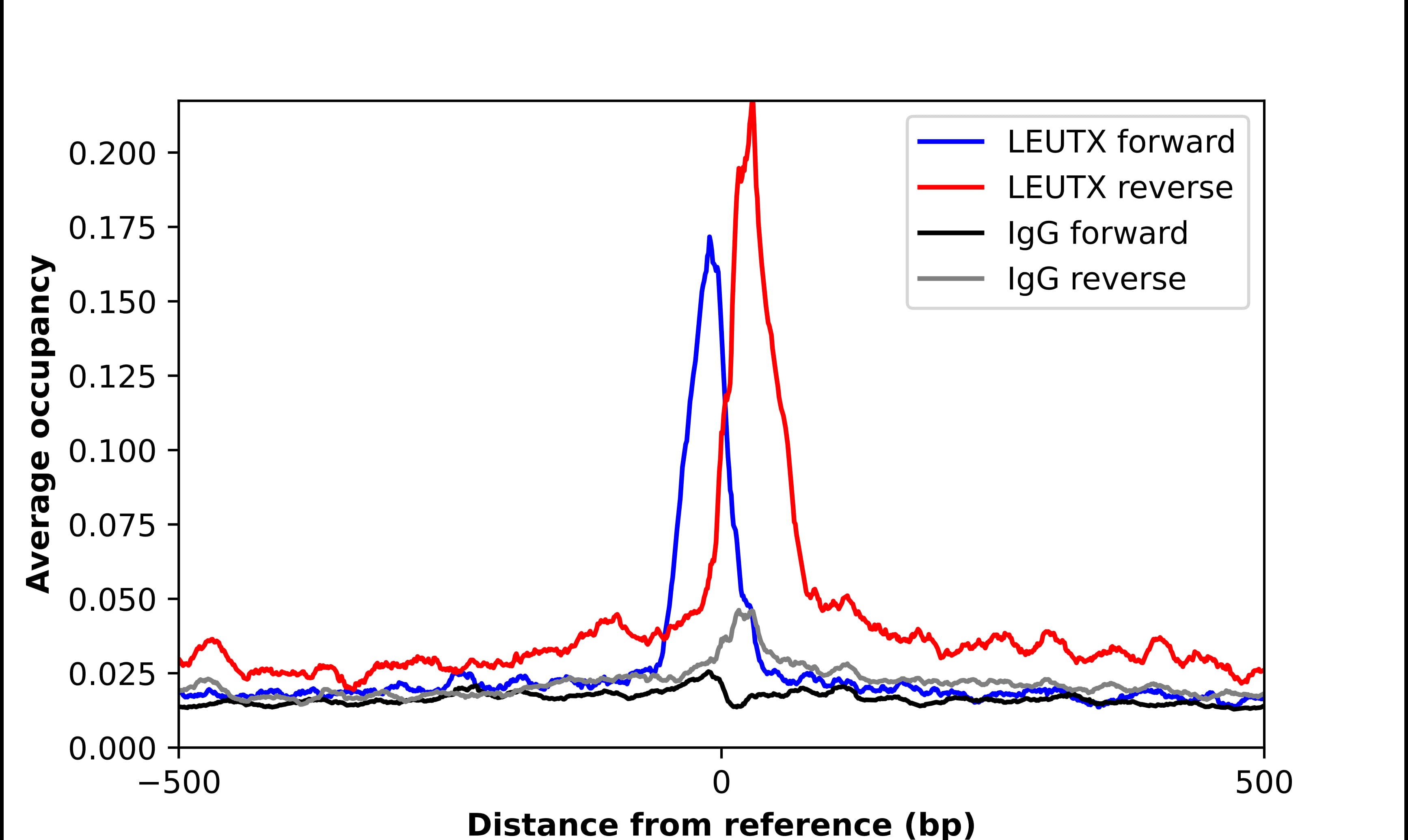 Chromatin Immunoprecipitation LEUTX Antibody - BSA Free