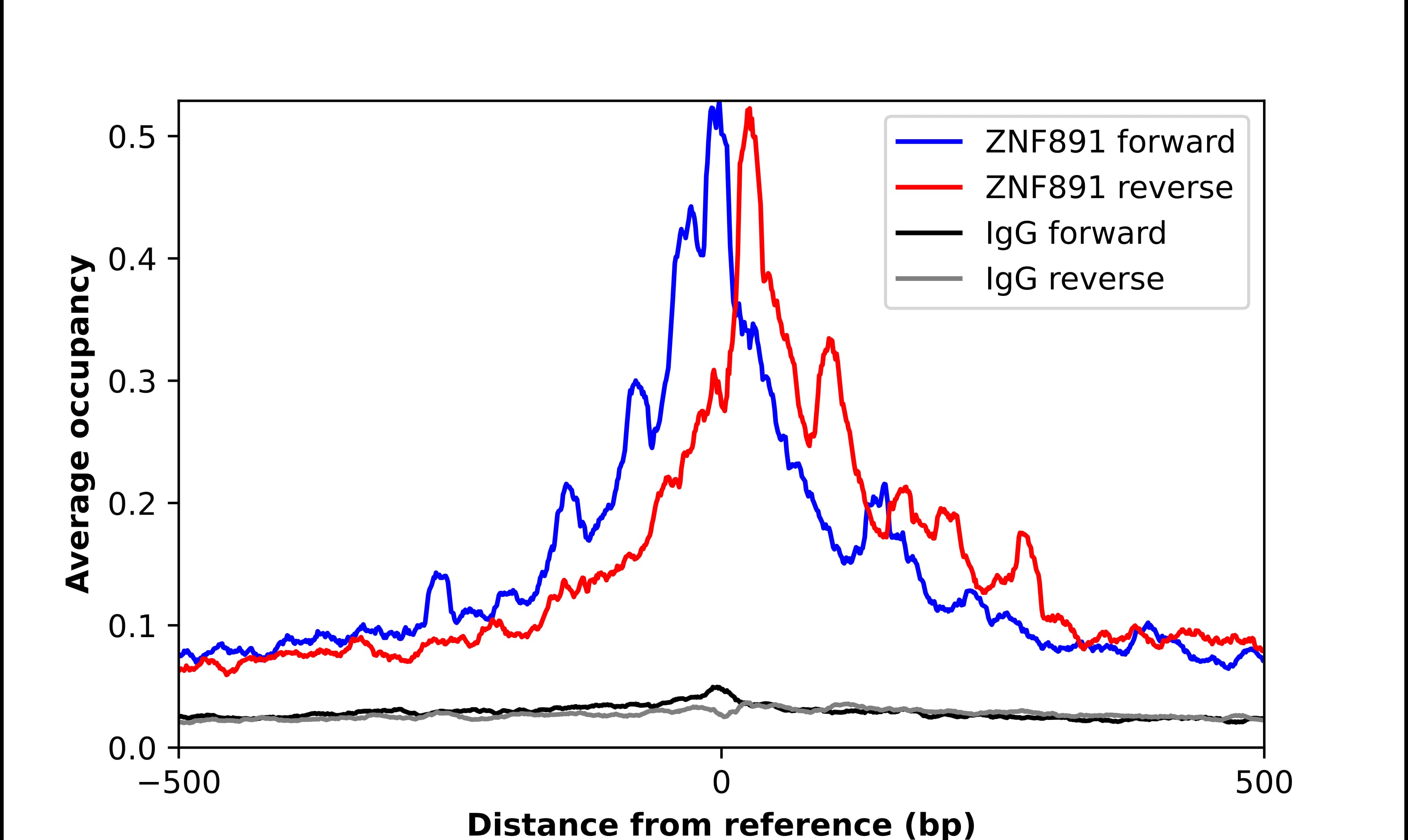 ChIP-Exo-Seq composite graph for Anti-ZNF891 tested in K562 cells. Strand-specific reads (blue: forward, red: reverse) and IgG controls (black: forward, grey: reverse) are plotted against the distance from a composite set of reference binding sites. The antibody exhibits robust target enrichment compared to a non-specific IgG control and precisely reveals its structural organization around the binding site. Data generated by Prof. B. F. Pugh's Lab at Cornell University.