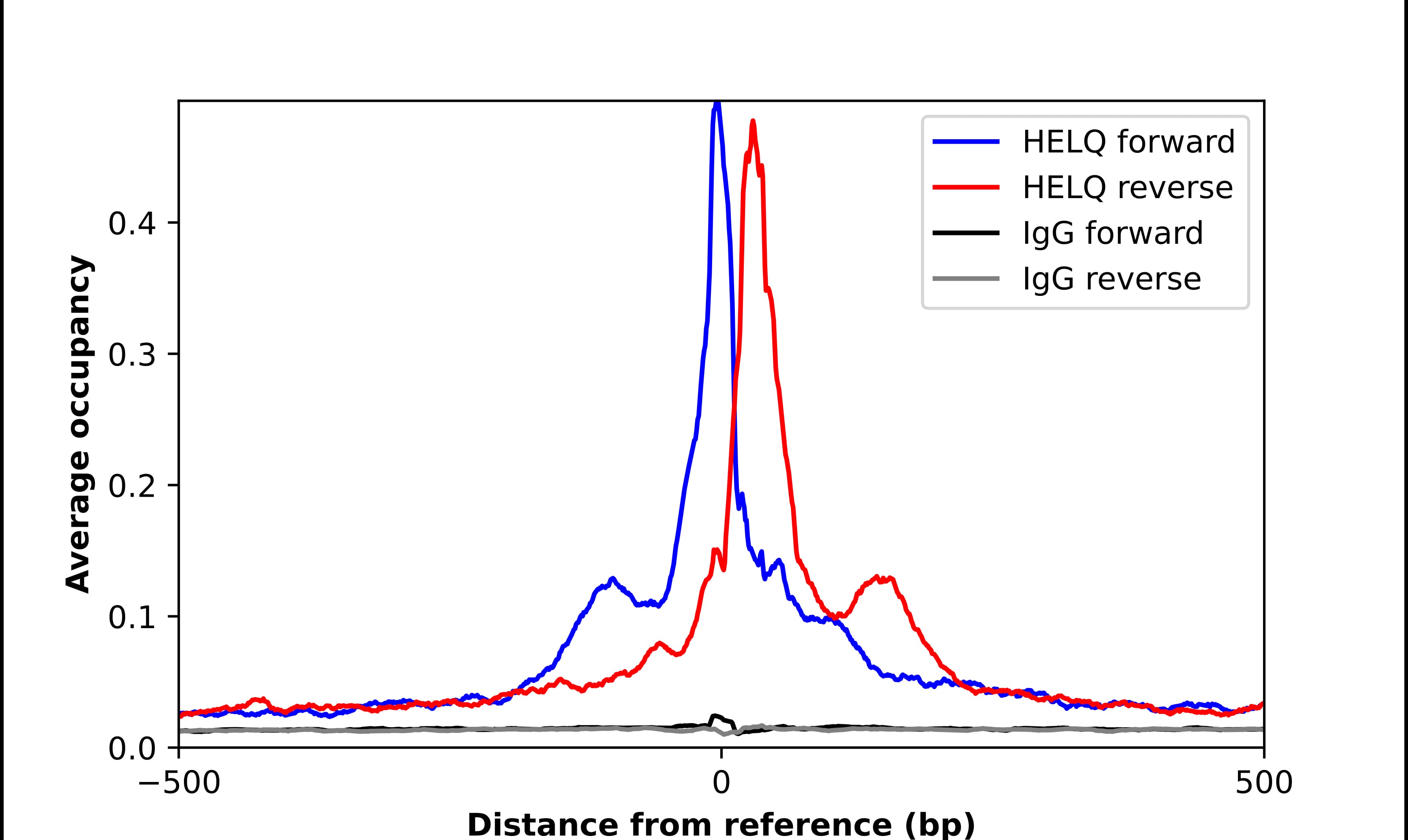 Chromatin Immunoprecipitation DNA helicase HEL308 Antibody - BSA Free