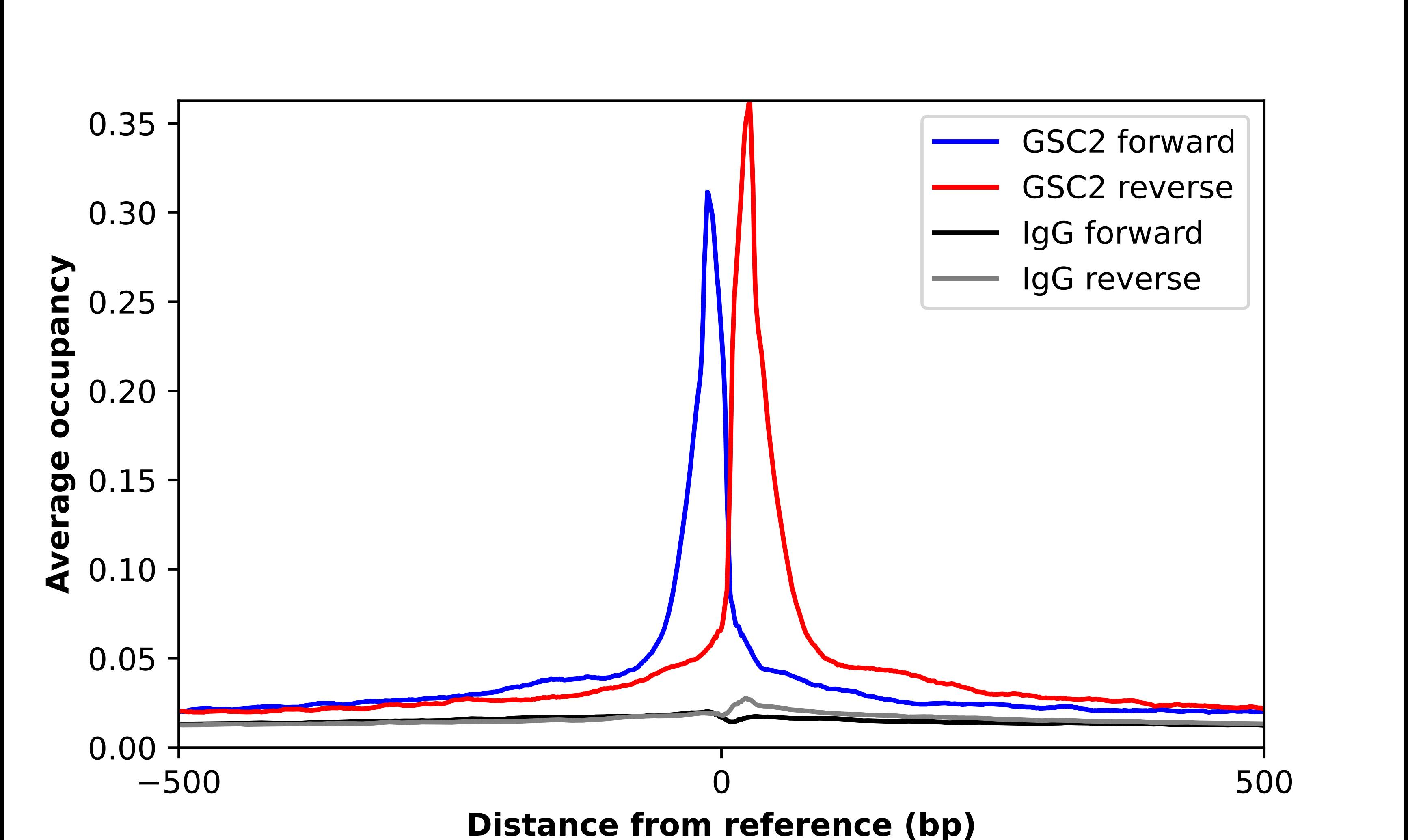 ChIP-Exo-Seq composite graph for Anti-GSC2 tested in K562 cells. Strand-specific reads (blue: forward, red: reverse) and IgG controls (black: forward, grey: reverse) are plotted against the distance from a composite set of reference binding sites. The antibody exhibits robust target enrichment compared to a non-specific IgG control and precisely reveals its structural organization around the binding site. Data generated by Prof. B. F. Pugh's Lab at Cornell University.