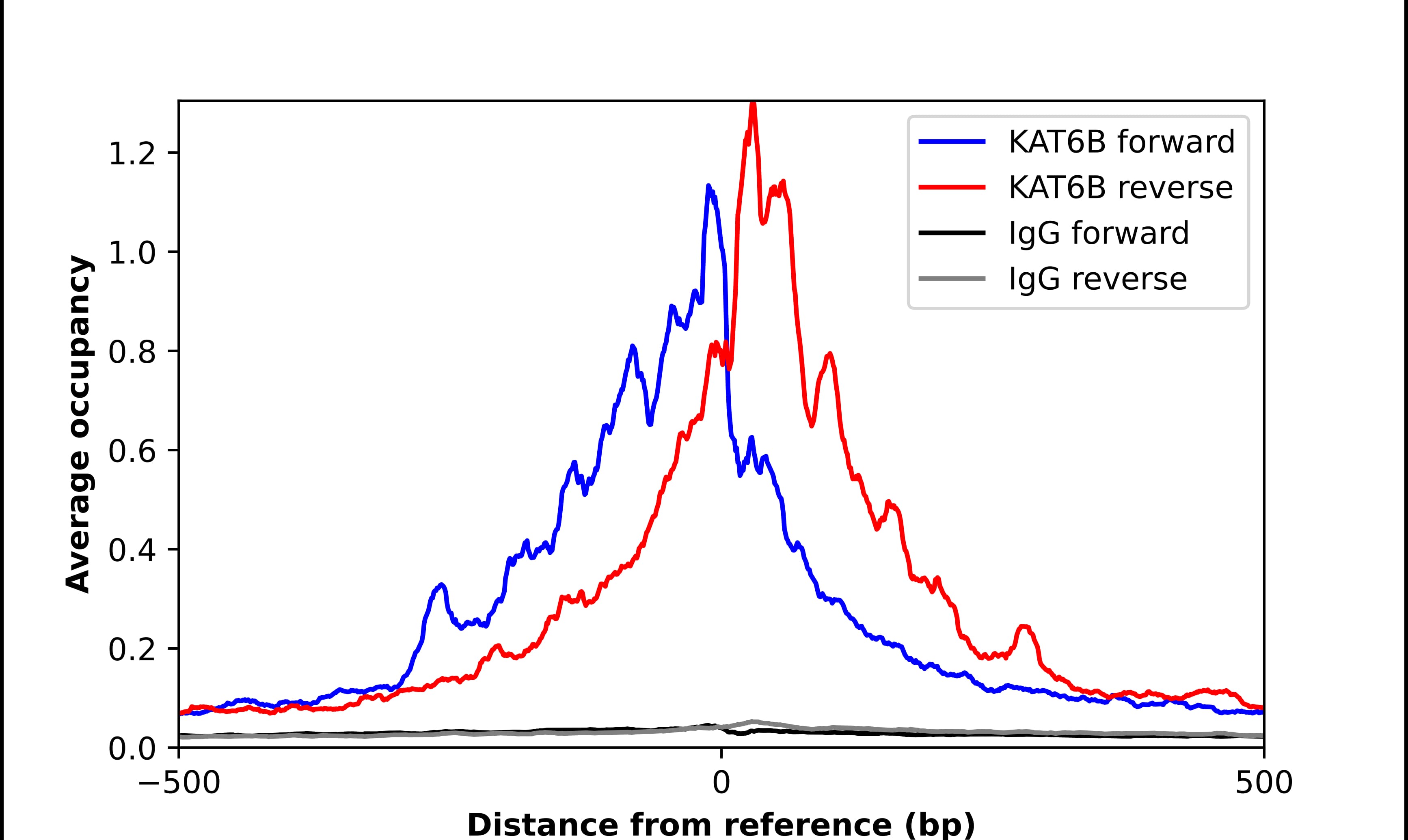 ChIP-Exo-Seq composite graph for Anti-KAT6B-MORF tested in K562 cells. Strand-specific reads (blue: forward, red: reverse) and IgG controls (black: forward, grey: reverse) are plotted against the distance from a composite set of reference binding sites. The antibody exhibits robust target enrichment compared to a non-specific IgG control and precisely reveals its structural organization around the binding site. Data generated by Prof. B. F. Pugh's Lab at Cornell University.