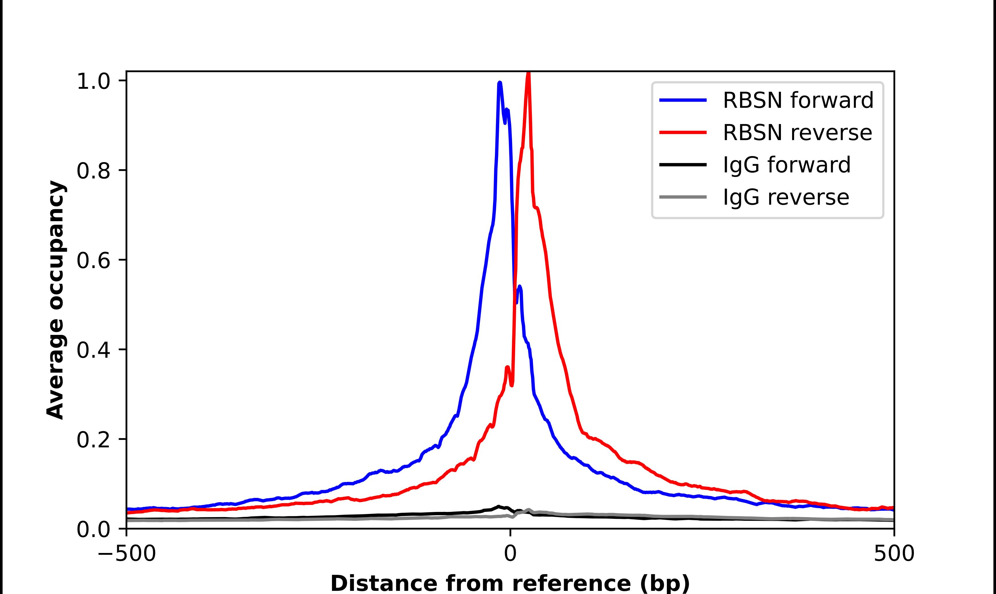 ChIP-Exo-Seq composite graph for Anti-Rabenosyn 5 tested in K562 cells. Strand-specific reads (blue: forward, red: reverse) and IgG controls (black: forward, grey: reverse) are plotted against the distance from a composite set of reference binding sites. The antibody exhibits robust target enrichment compared to a non-specific IgG control and precisely reveals its structural organization around the binding site. Data generated by Prof. B. F. Pugh's Lab at Cornell University.