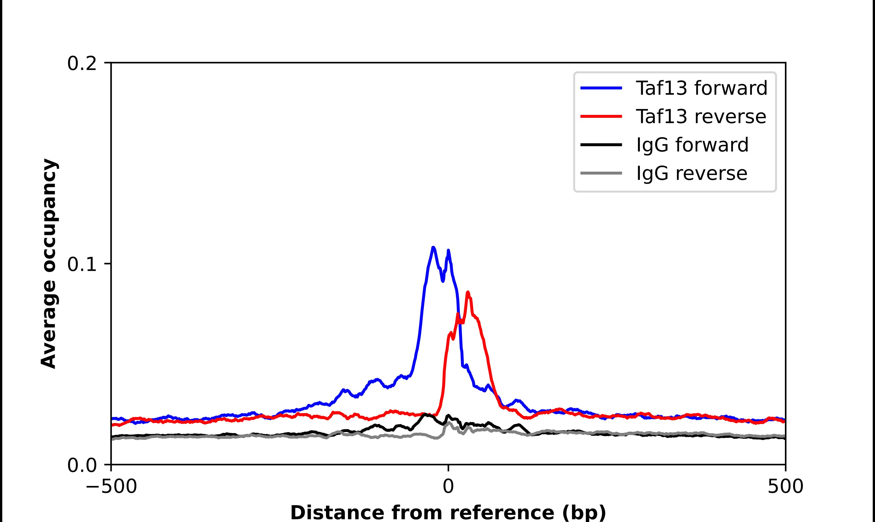 Chromatin Immunoprecipitation TAF13 Antibody - BSA Free