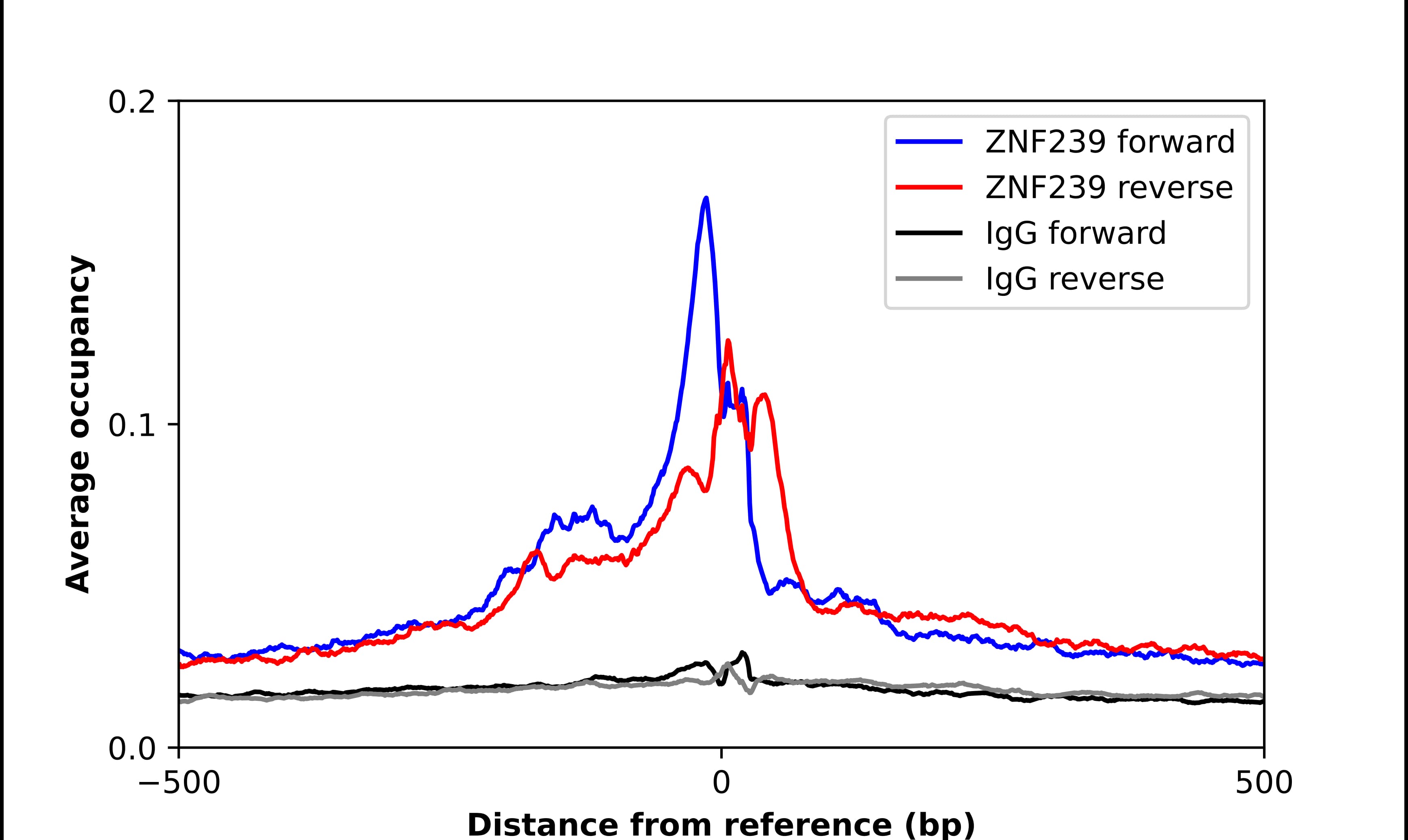 ChIP-Exo-Seq composite graph for Anti-ZNF239 (NBP1-92620) tested in K562 cells. Strand-specific reads (blue: forward, red: reverse) and IgG controls (black: forward, grey: reverse) are plotted against the distance from a composite set of reference binding sites. The antibody exhibits robust target enrichment compared to a non-specific IgG control and precisely reveals its structural organization around the binding site. Data generated by Prof. B. F. Pugh´s Lab at Cornell University.