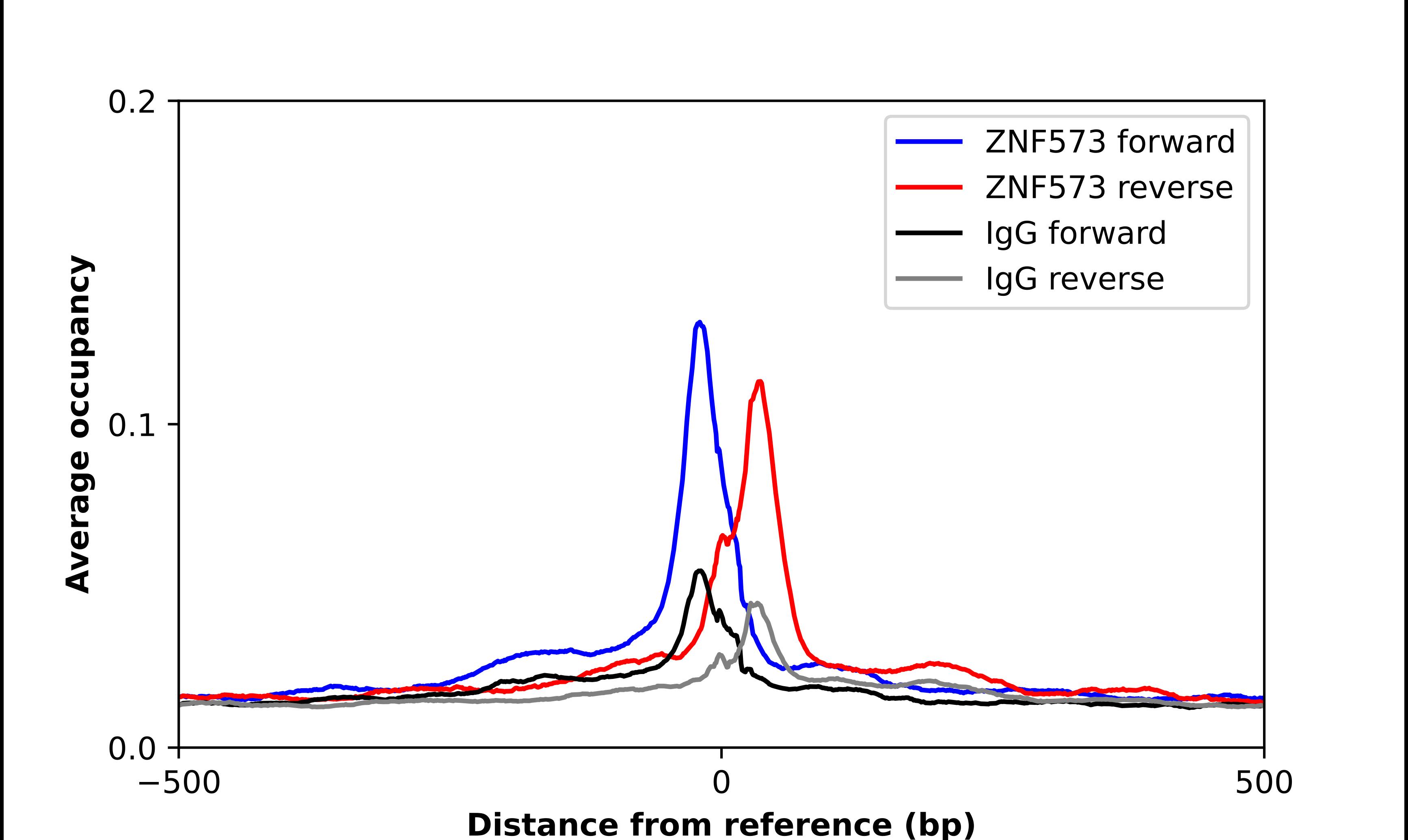 Chromatin Immunoprecipitation ZNF573 Antibody - BSA Free