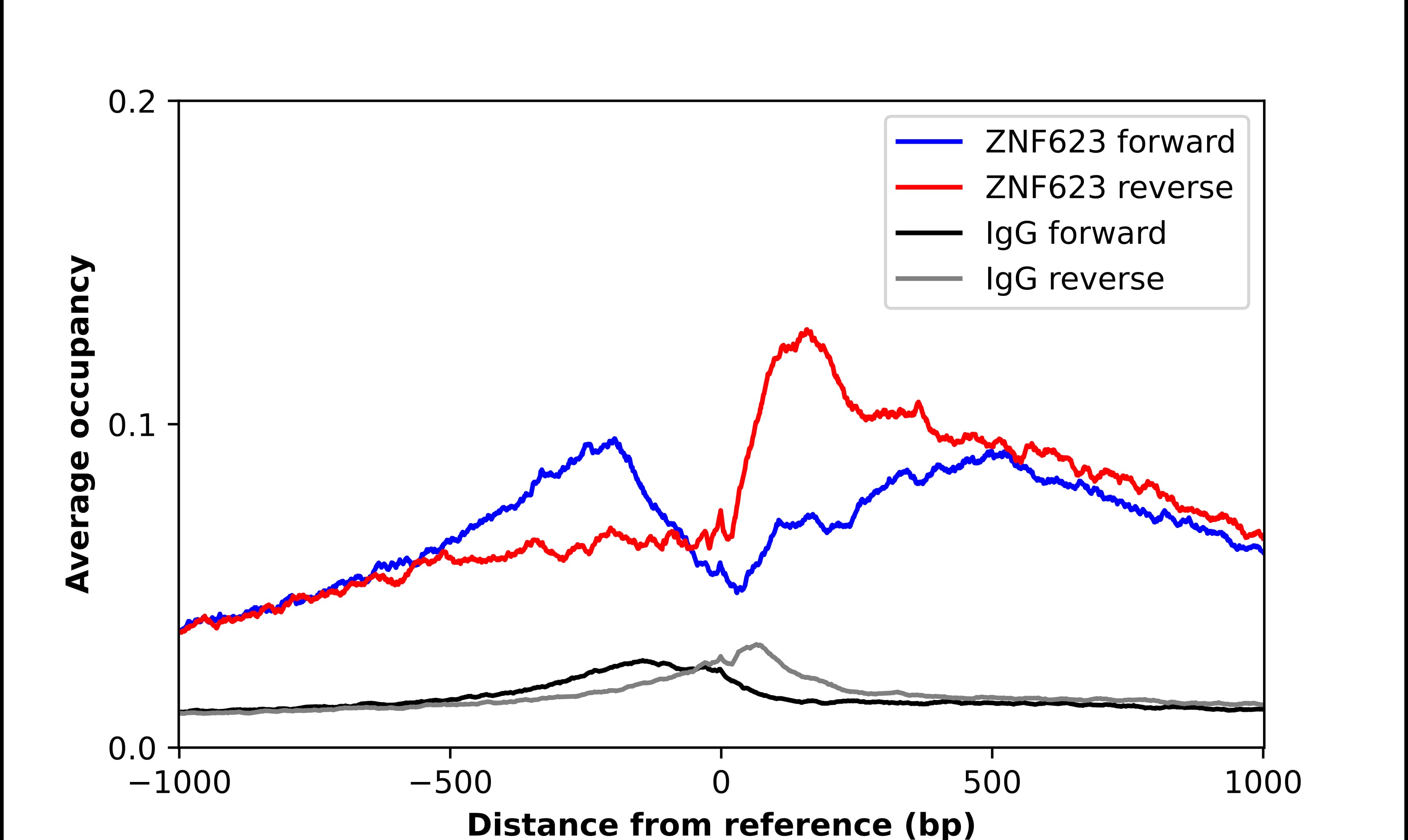 ChIP-Exo-Seq composite graph for Anti-ZNF623 (NBP1-92637) tested in K562 cells. Strand-specific reads (blue: forward, red: reverse) and IgG controls (black: forward, grey: reverse) are plotted against the distance from a composite set of reference binding sites. The antibody exhibits robust target enrichment compared to a non-specific IgG control and precisely reveals its structural organization around the binding site. Data generated by Prof. B. F. Pugh´s Lab at Cornell University.
