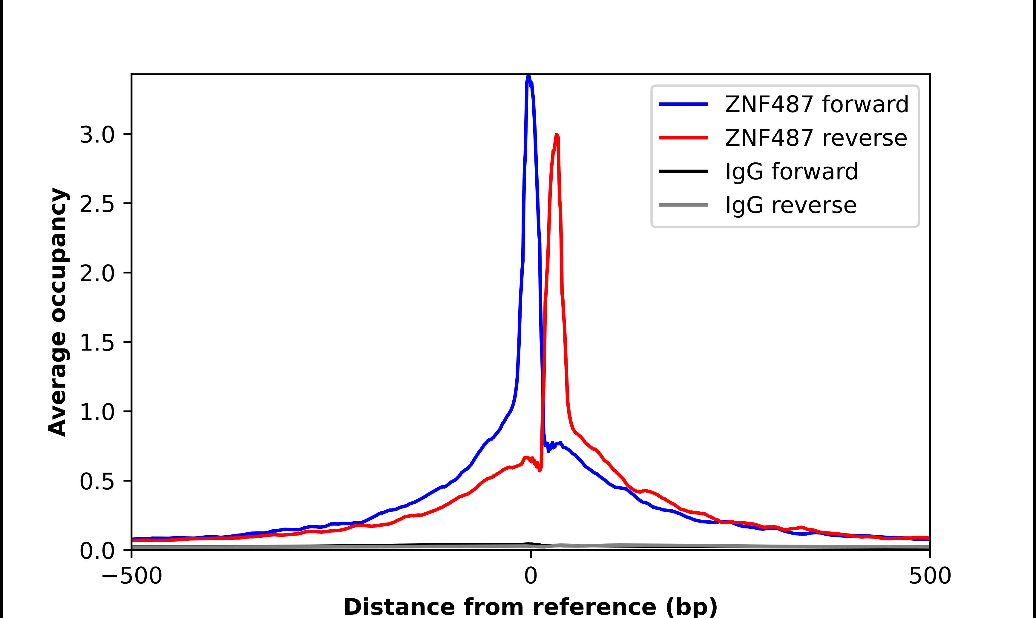 Chromatin Immunoprecipitation ZNF487P Antibody - BSA Free