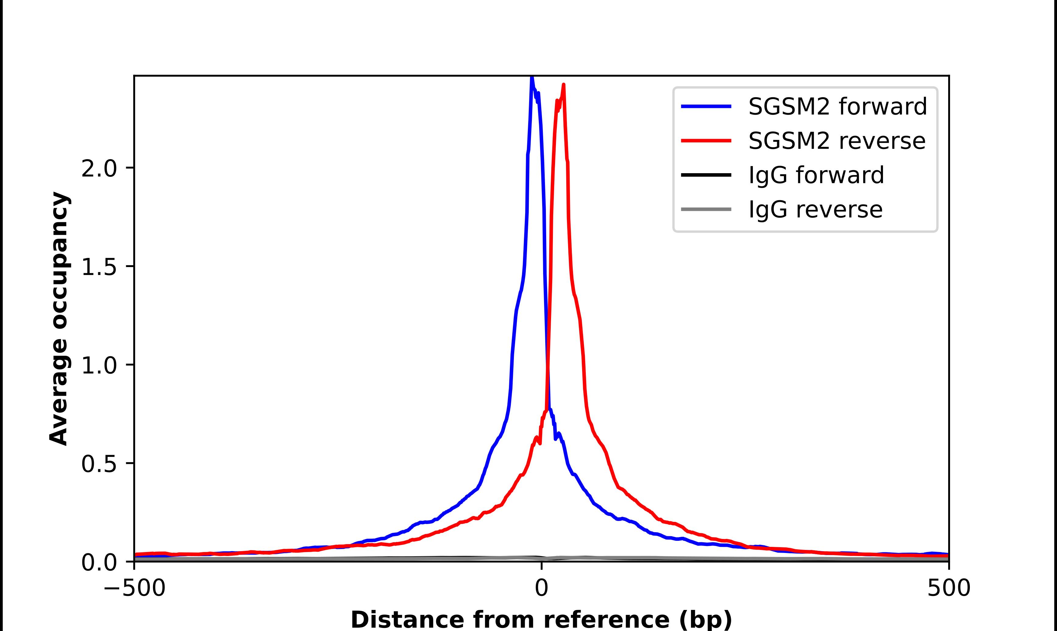 ChIP-Exo-Seq composite graph for Anti-SGSM2 tested in K562 cells. Strand-specific reads (blue: forward, red: reverse) and IgG controls (black: forward, grey: reverse) are plotted against the distance from a composite set of reference binding sites. The antibody exhibits robust target enrichment compared to a non-specific IgG control and precisely reveals its structural organization around the binding site. Data generated by Prof. B. F. Pugh's Lab at Cornell University.