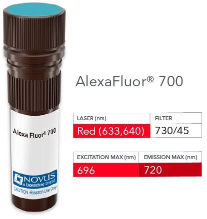 CXCR2/IL-8RB Antibody (RM0212-24D12) [Alexa Fluor® 700] [NBP2-12238AF700] - Vial of Alexa Fluor 700 conjugated antibody. Alexa Fluor 700 is optimally excited at 696 nm by the Red laser (633 or 640 nm) and has an emission maximum of 720 nm.