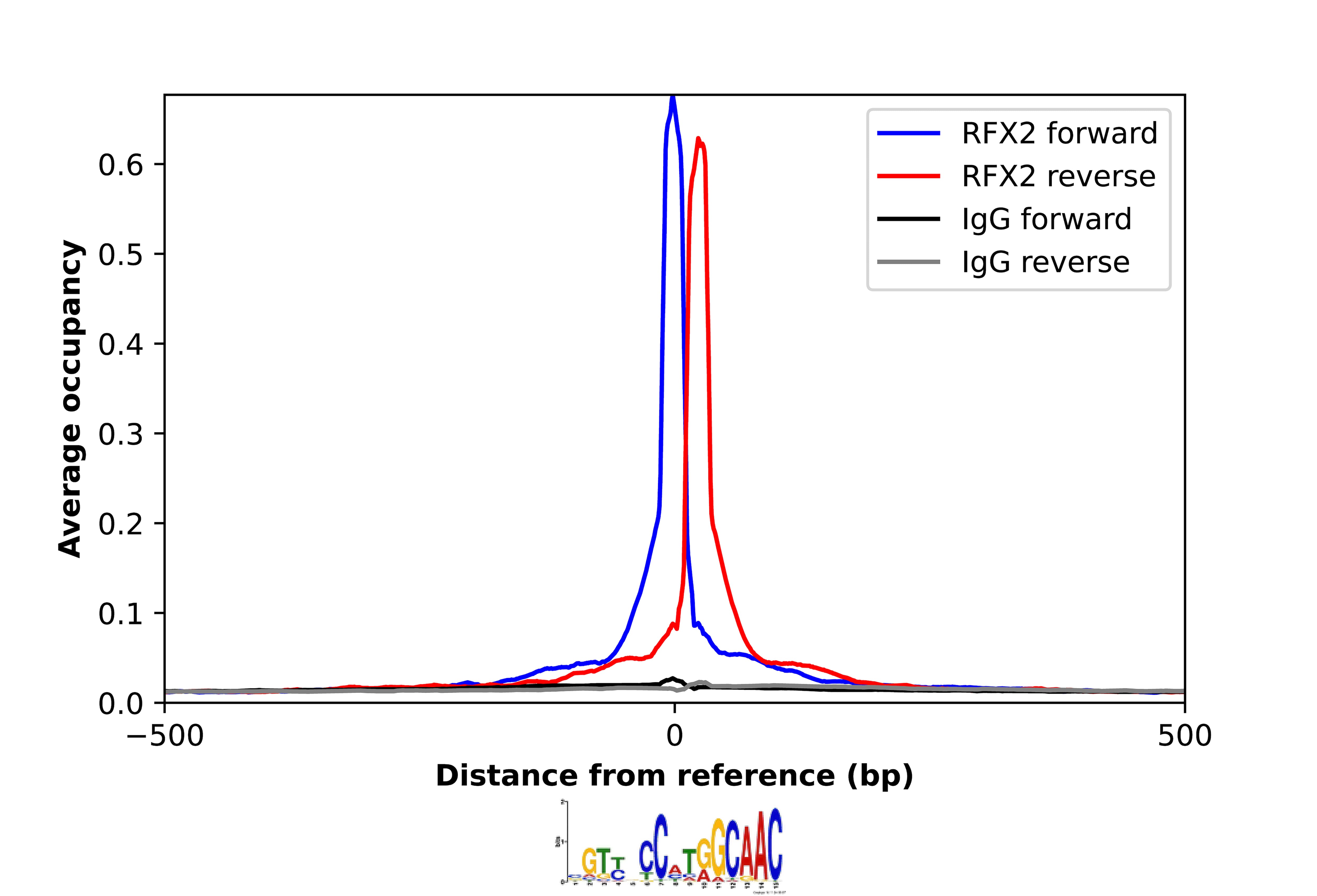 ChIP-Exo-Seq composite graph for Anti-RFX2 (NBP2-13224) tested in K562 cells. Strand-specific reads (blue: forward, red: reverse) and IgG controls (black: forward, grey: reverse) are plotted against the distance from a composite set of reference binding sites. The antibody exhibits robust target enrichment compared to a non-specific IgG control and precisely reveals its structural organization around the binding site. Data generated by Prof. B. F. Pugh´s Lab at Cornell University.