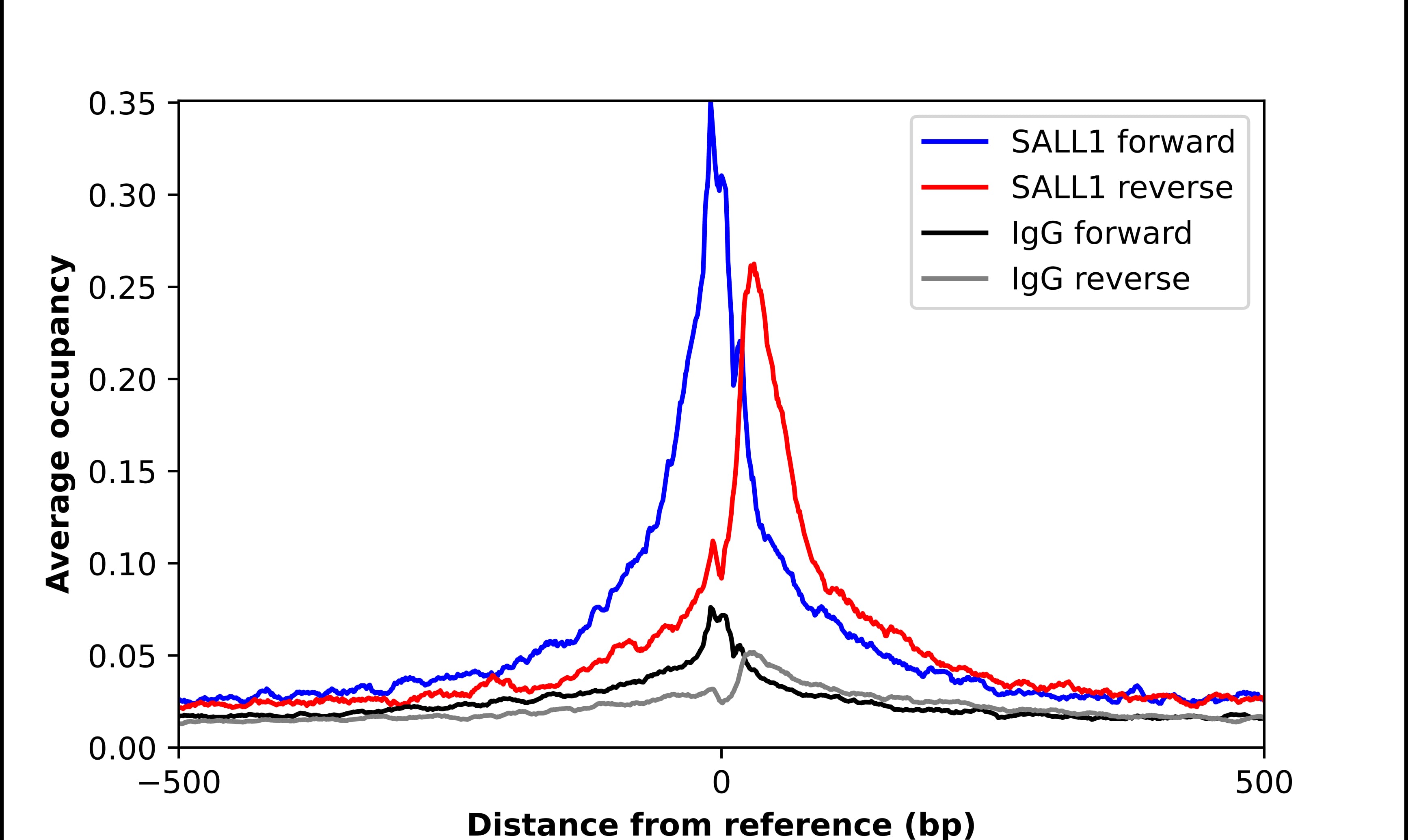 ChIP-Exo-Seq composite graph for Anti-SALL1 (NBP2-13275) tested in K562 cells. Strand-specific reads (blue: forward, red: reverse) and IgG controls (black: forward, grey: reverse) are plotted against the distance from a composite set of reference binding sites. The antibody exhibits robust target enrichment compared to a non-specific IgG control and precisely reveals its structural organization around the binding site. Data generated by Prof. B. F. Pugh´s Lab at Cornell University.