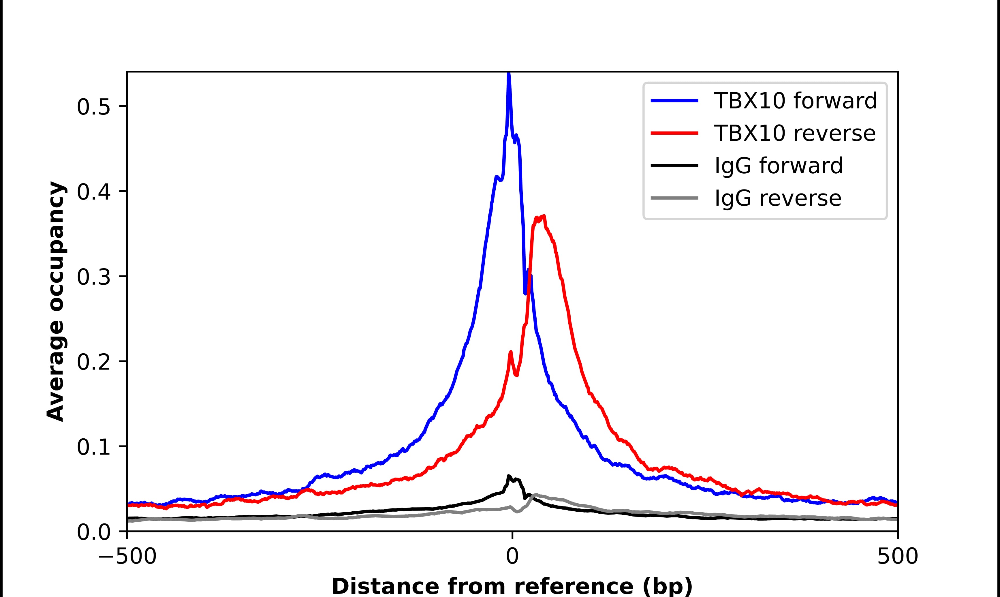 ChIP-Exo-Seq composite graph for Anti-TBX10 (NBP2-13417) tested in K562 cells. Strand-specific reads (blue: forward, red: reverse) and IgG controls (black: forward, grey: reverse) are plotted against the distance from a composite set of reference binding sites. The antibody exhibits robust target enrichment compared to a non-specific IgG control and precisely reveals its structural organization around the binding site. Data generated by Prof. B. F. Pugh´s Lab at Cornell University.