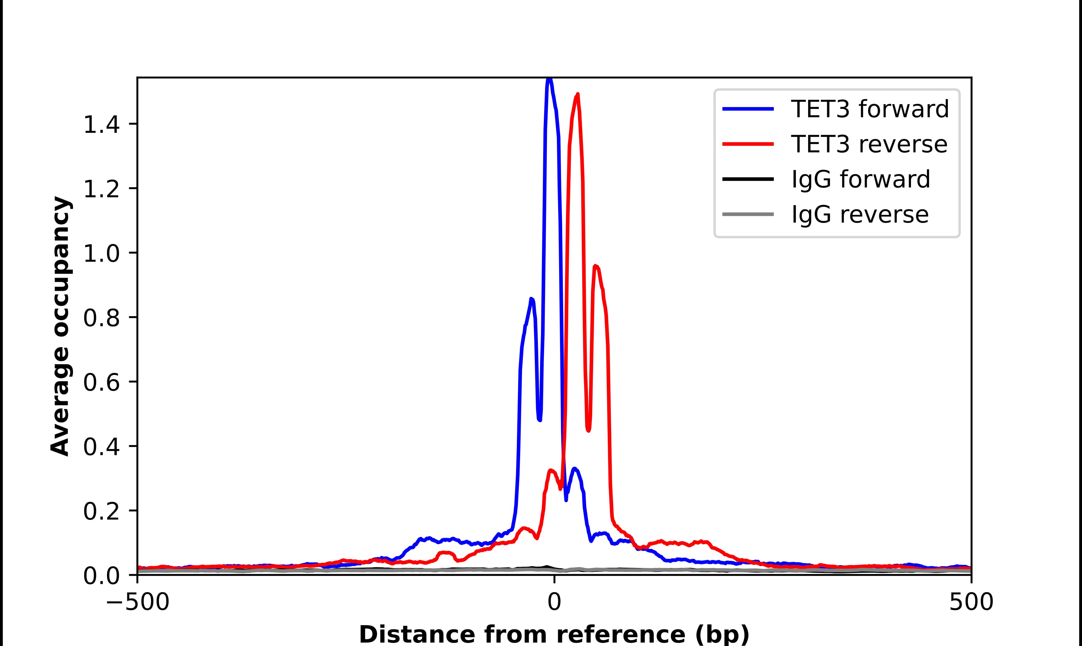 ChIP-Exo-Seq composite graph for Anti-TET3 tested in K562 cells. Strand-specific reads (blue: forward, red: reverse) and IgG controls (black: forward, grey: reverse) are plotted against the distance from a composite set of reference binding sites. The antibody exhibits robust target enrichment compared to a non-specific IgG control and precisely reveals its structural organization around the binding site. Data generated by Prof. B. F. Pugh's Lab at Cornell University.