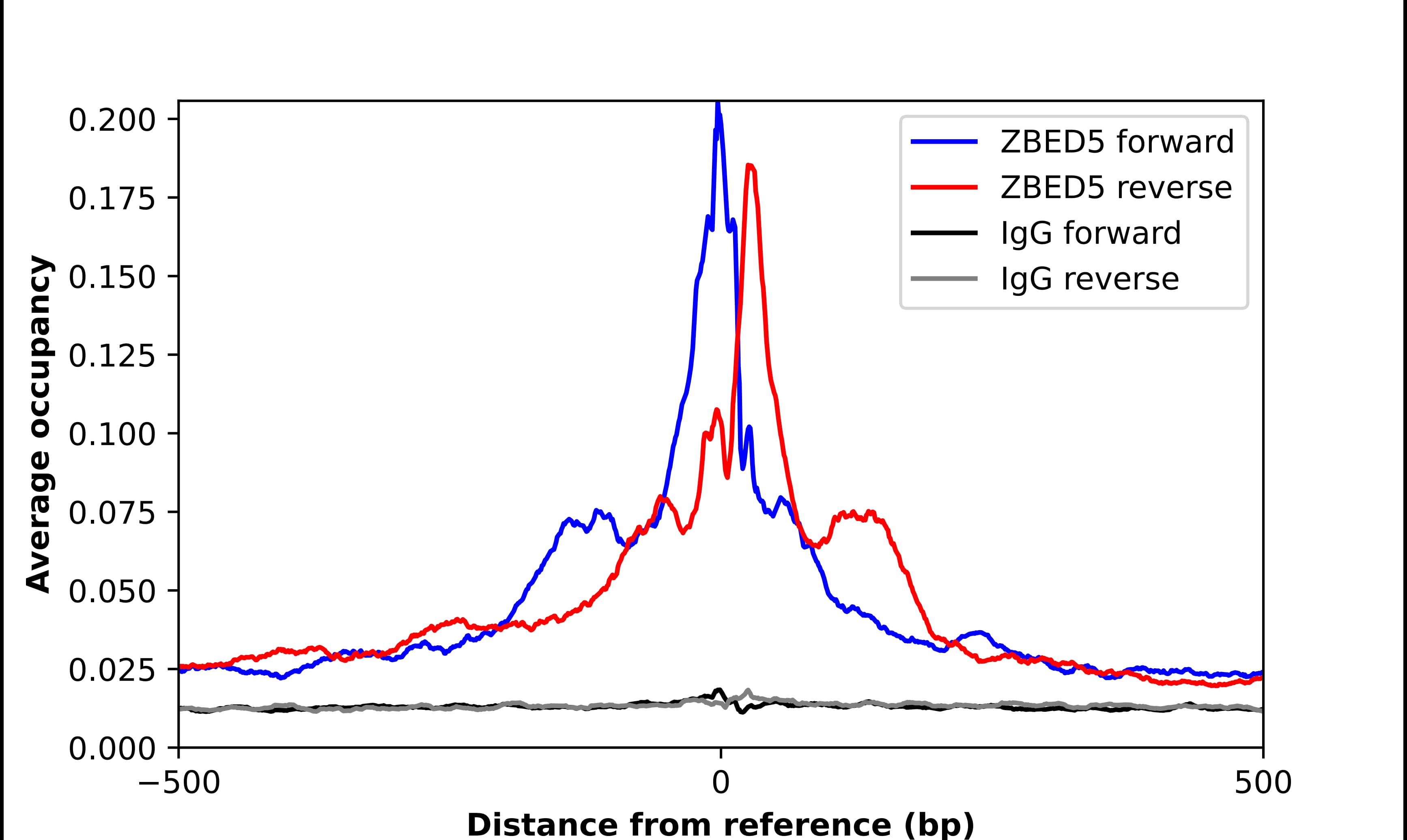 Chromatin Immunoprecipitation ZBED5 Antibody - BSA Free